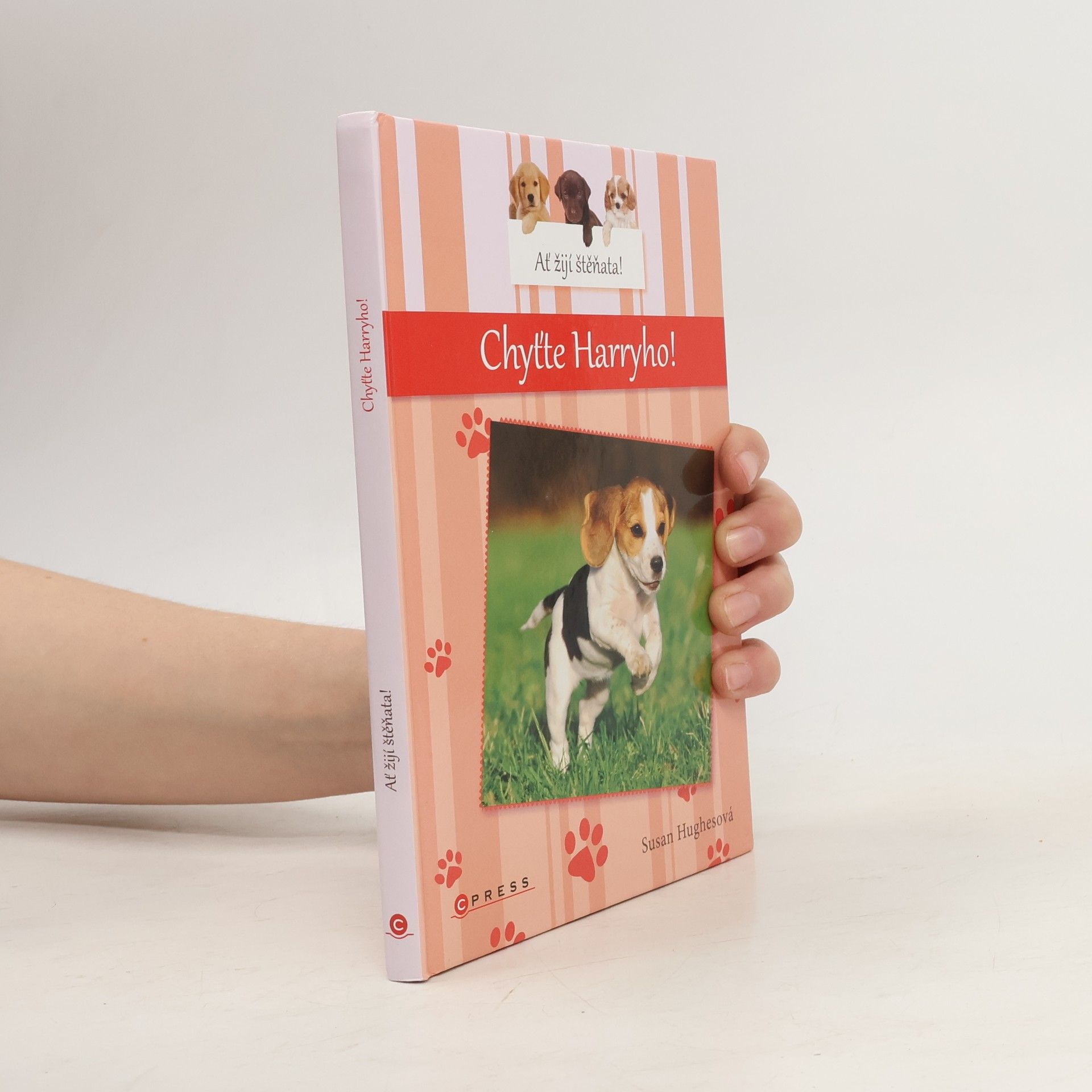 Susan Hughes Chyťte Harryho!