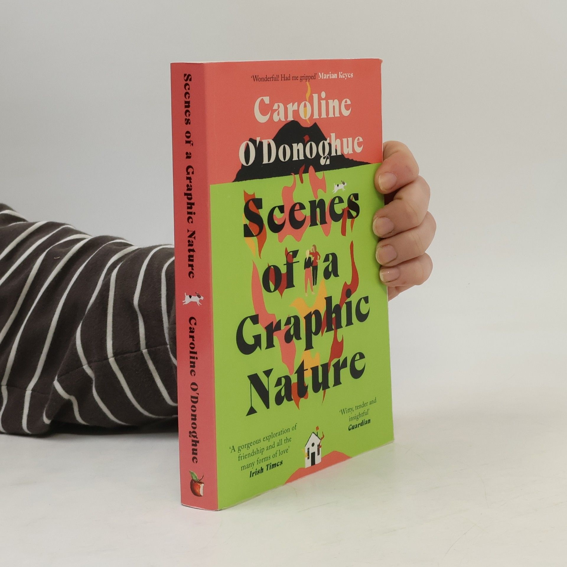 Caroline O. Donoghue Scenes of a Graphic Nature