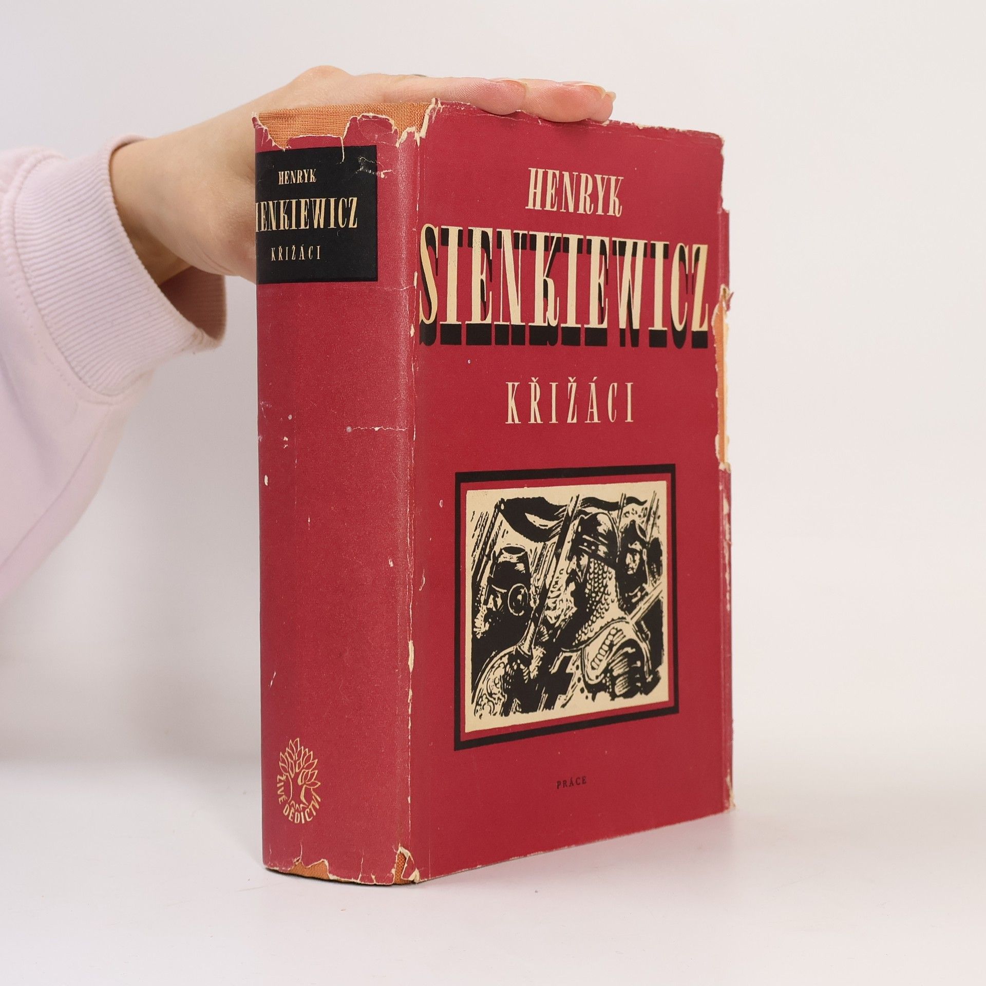 Henryk Sienkiewicz Křižáci