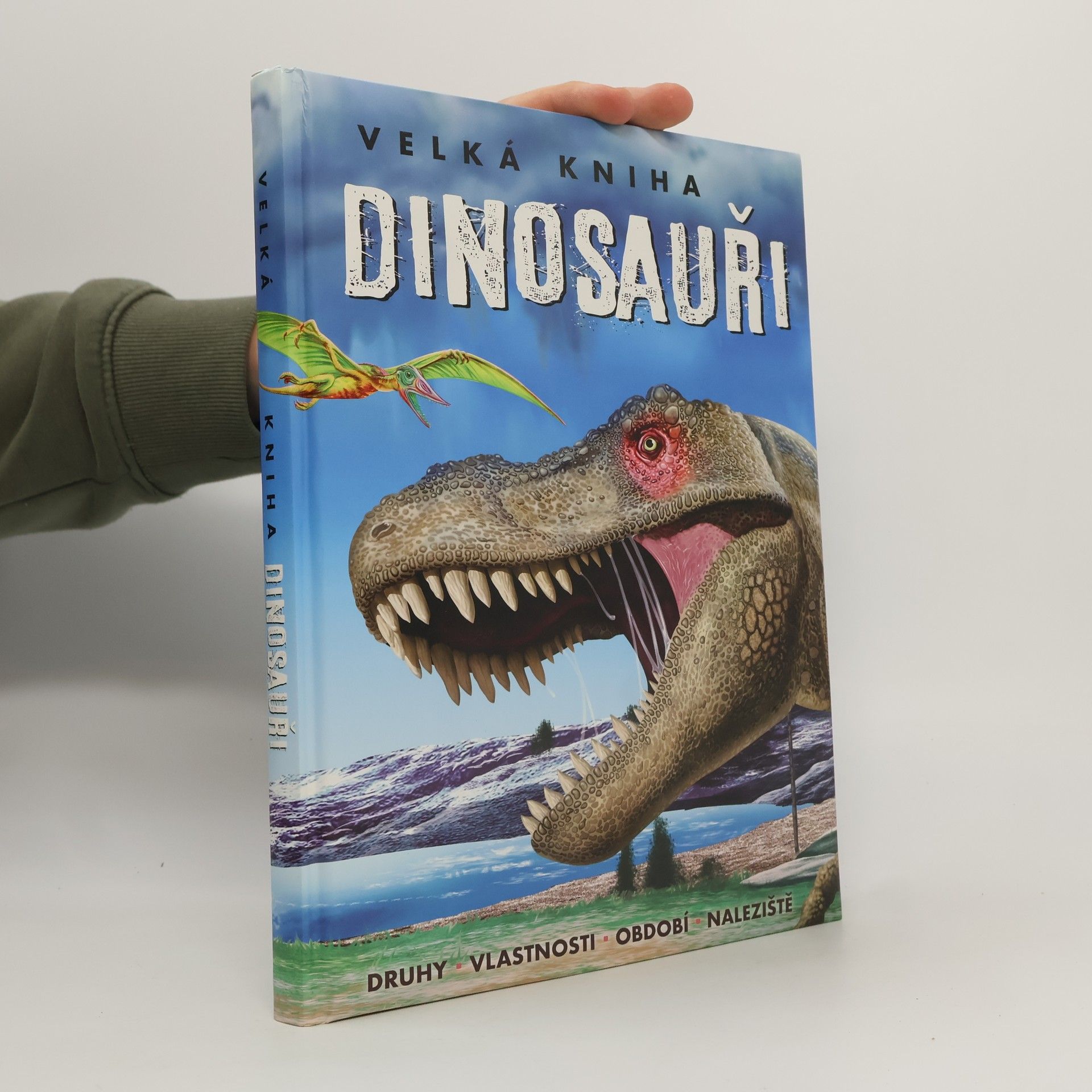 Kolektív autorov Velká kniha. Dinosauři
