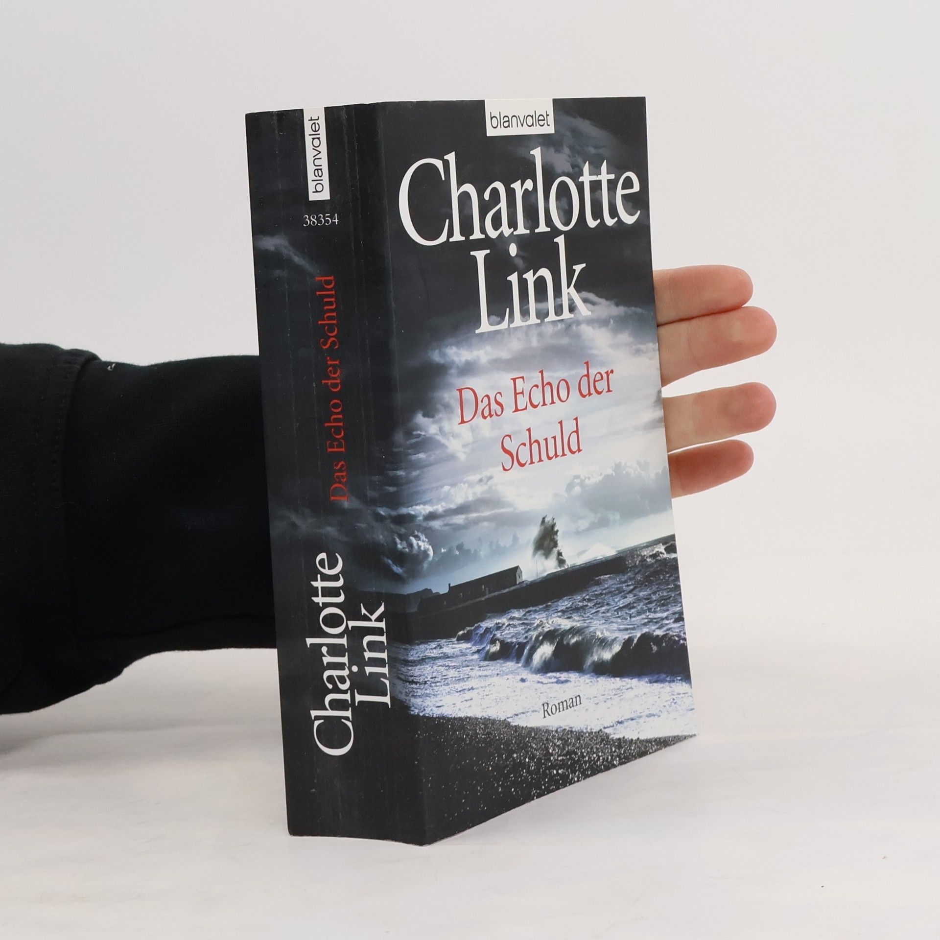 Charlotte Link Das Echo der Schuld