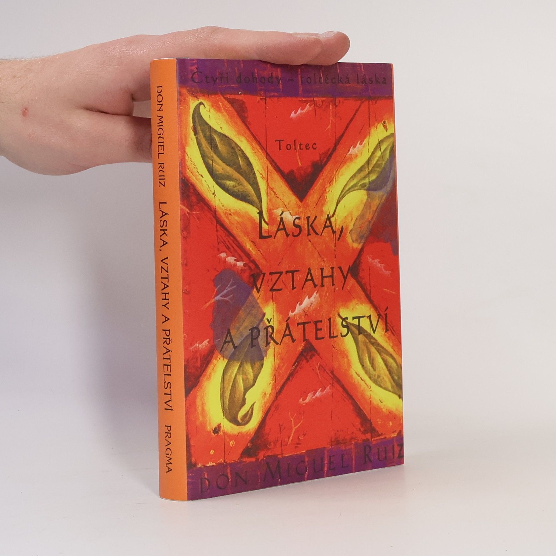 Don Miguel Ruiz Láska, vztahy a přátelství