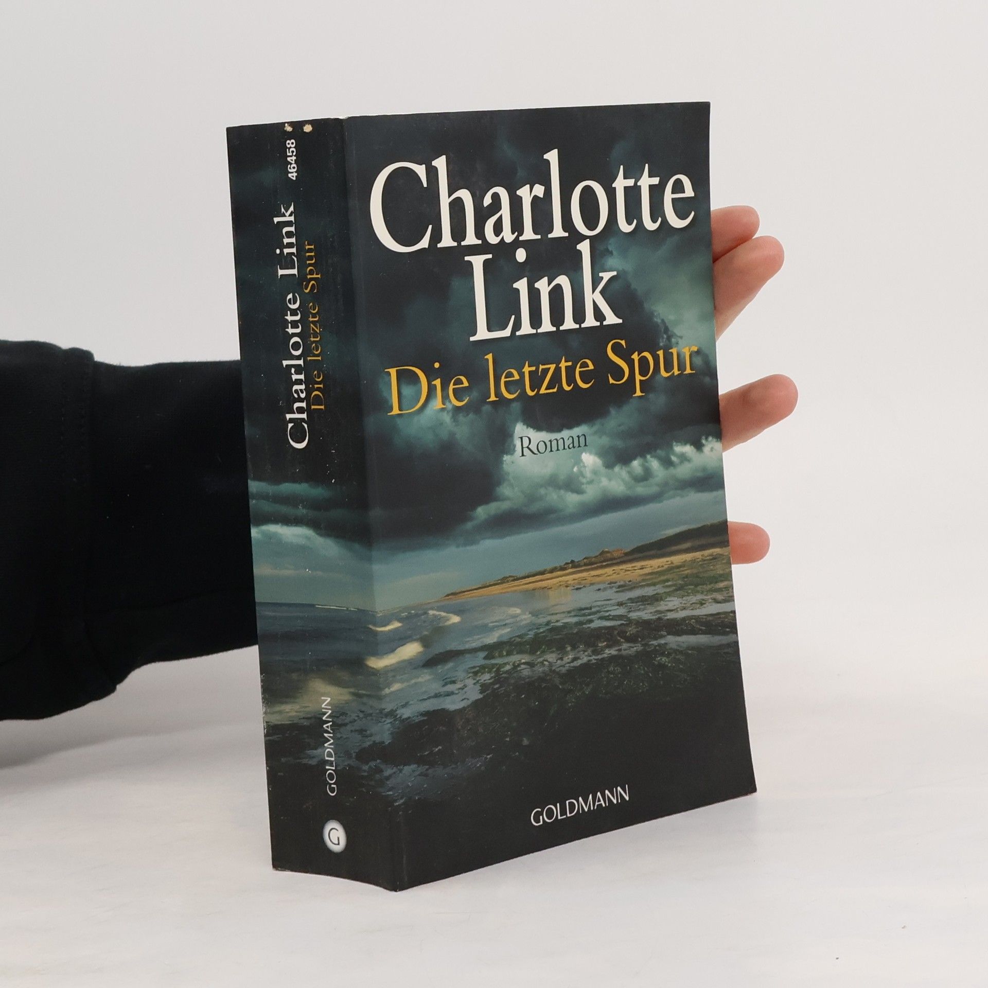 Charlotte Link Die letzte Spur