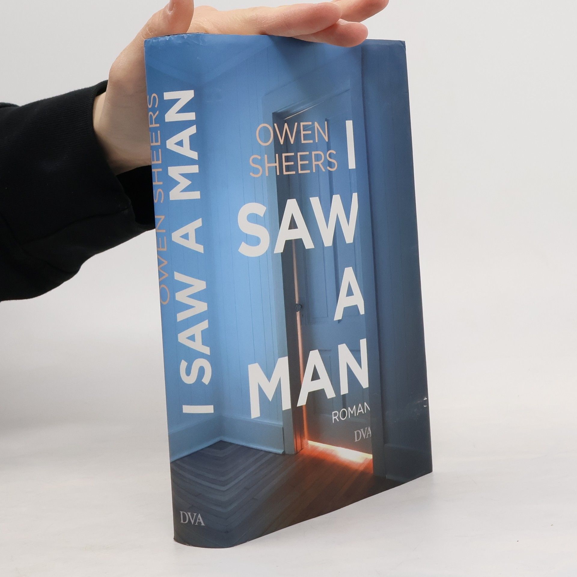 Owen Sheers I Saw a Man