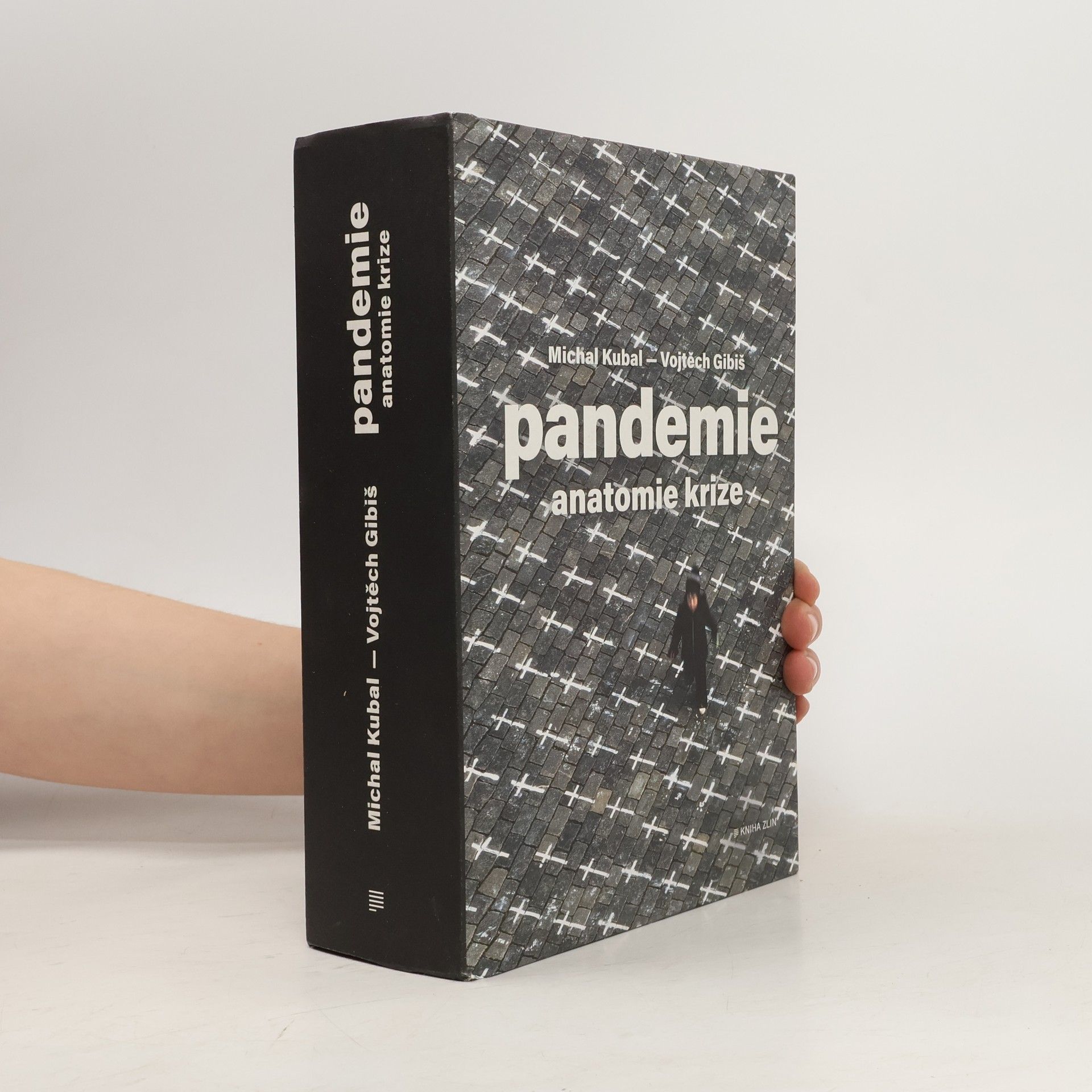 Pandemie : anatomie krize