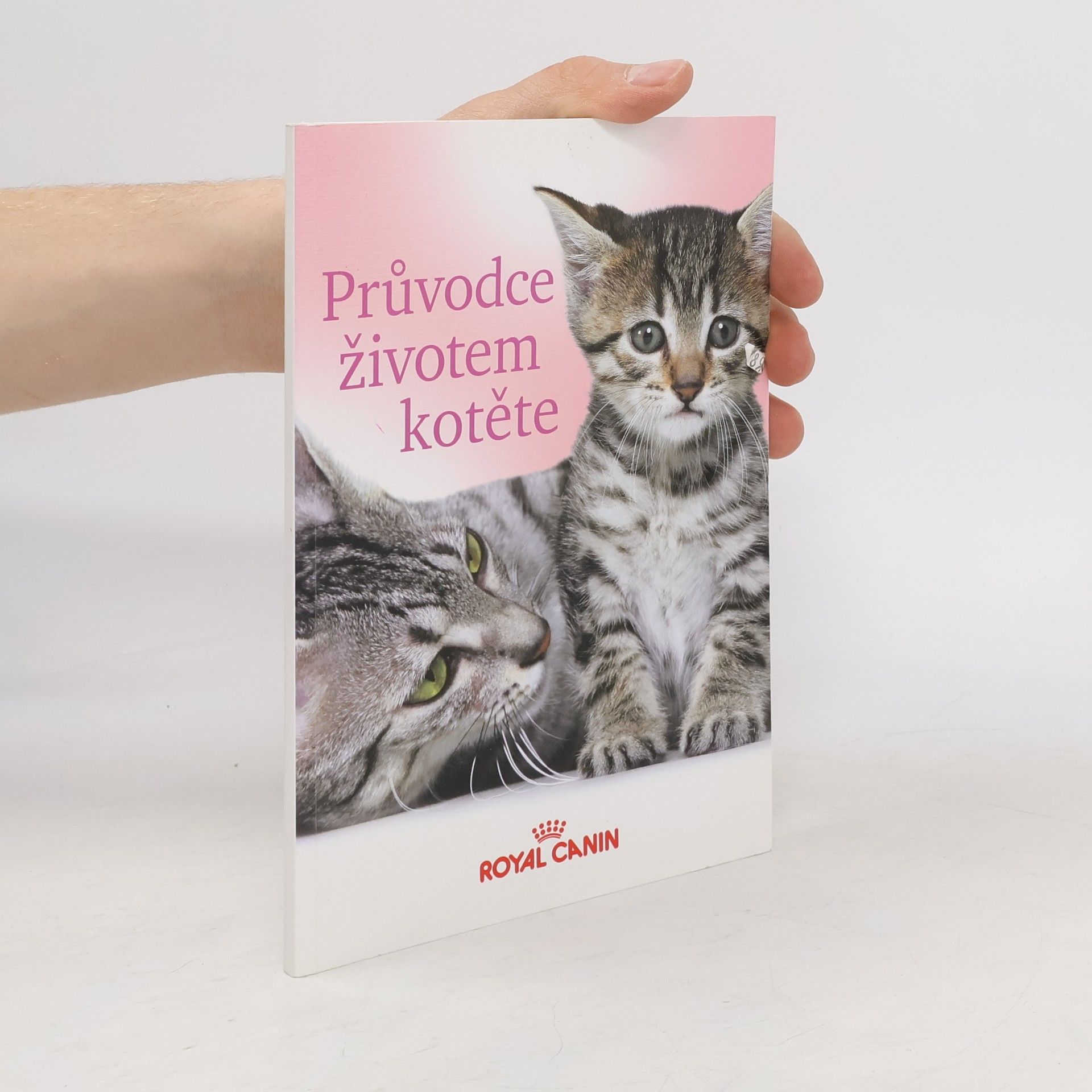 Collectif d'auteurs Průvodce životem kotěte