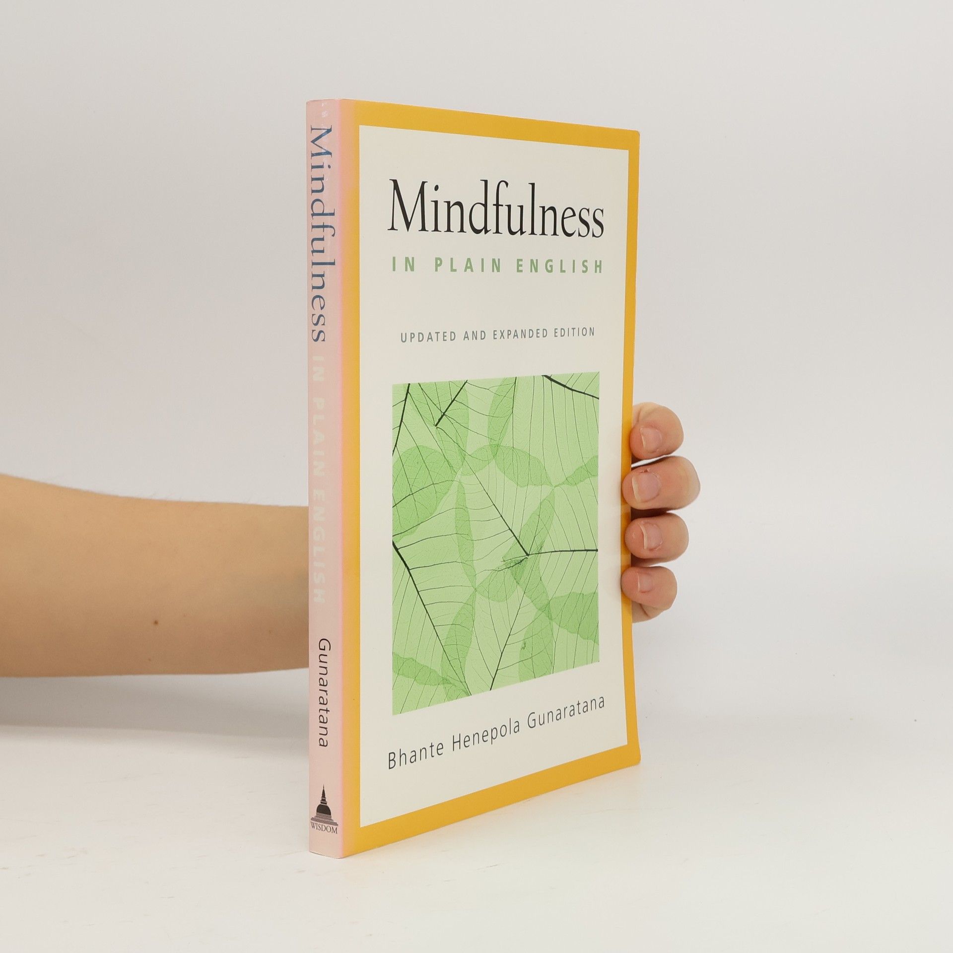 Guṇaratana Mindfulness in Plain English