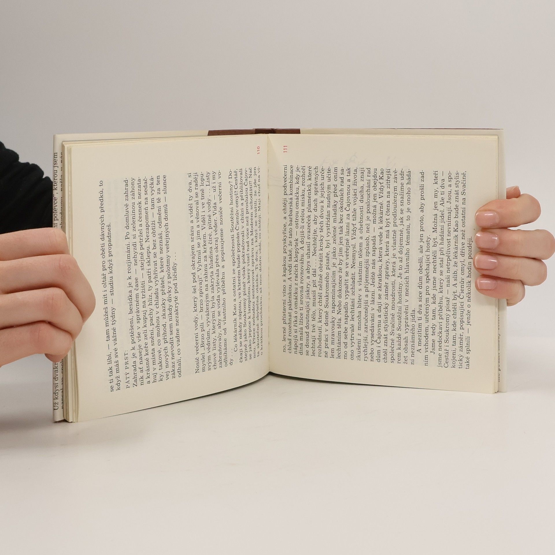 Jiří Žáček Testament pana Tena