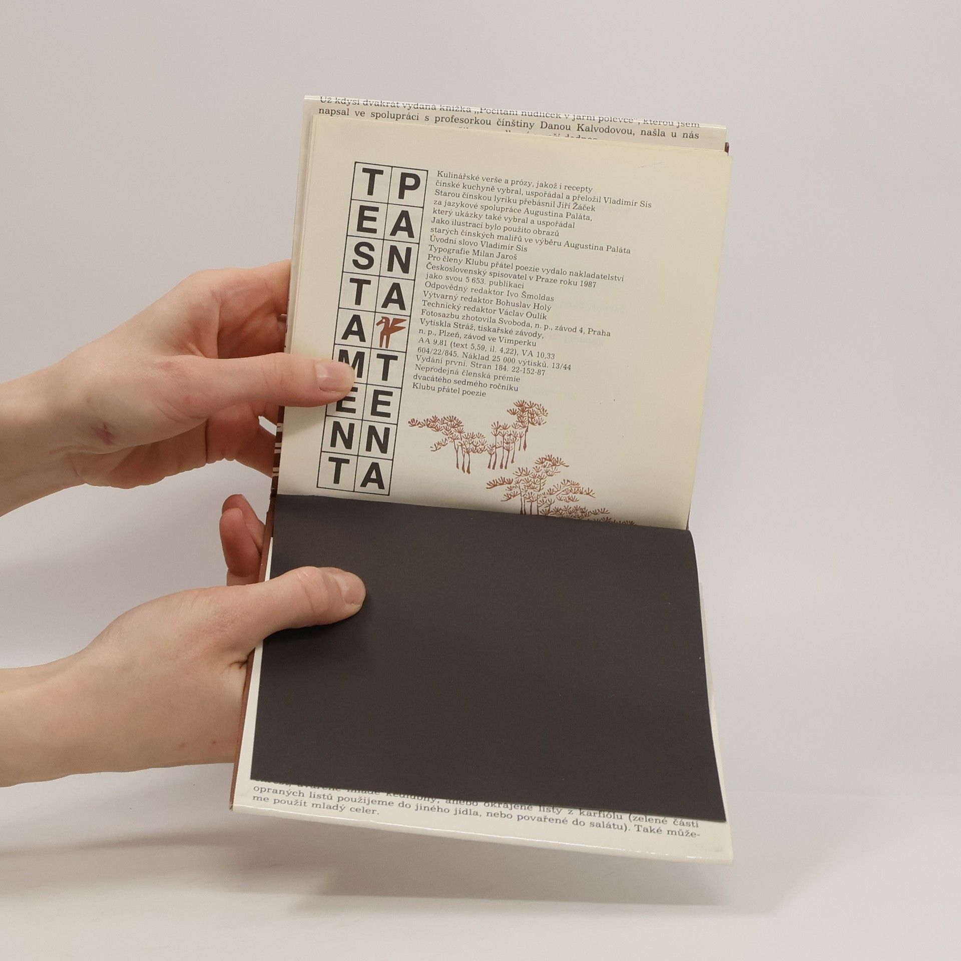 Jiří Žáček Testament pana Tena