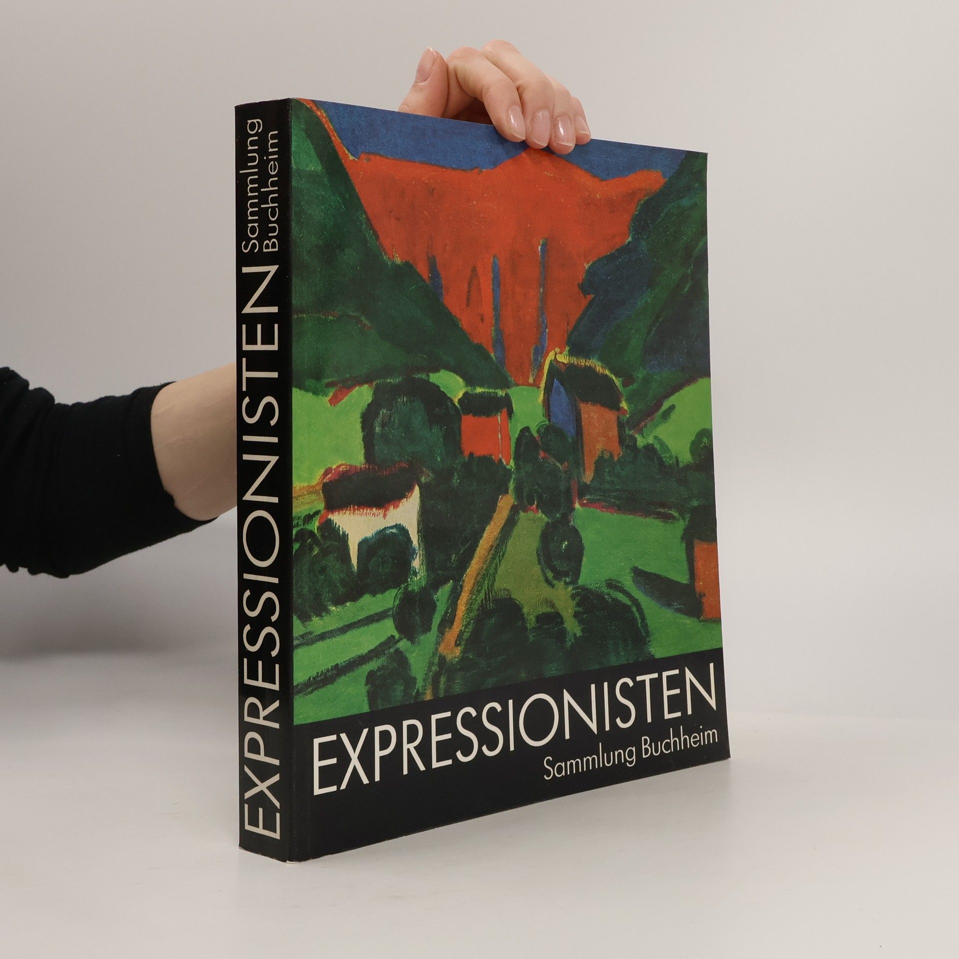 Wolf Dieter Dube Expressionisten. Sammlung Buchheim