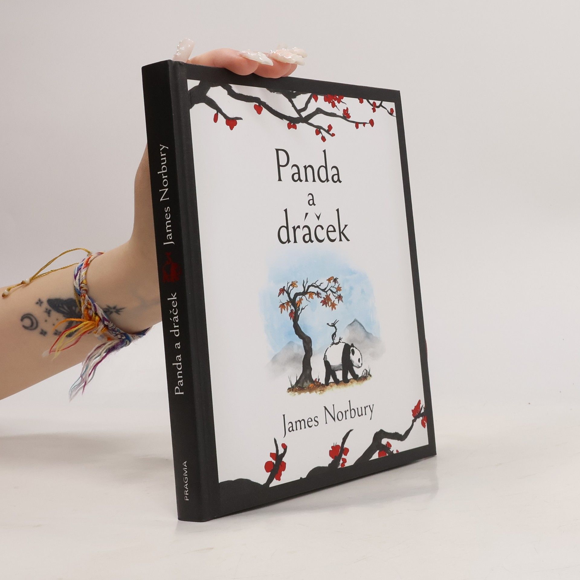 James Norbury Panda a dráček