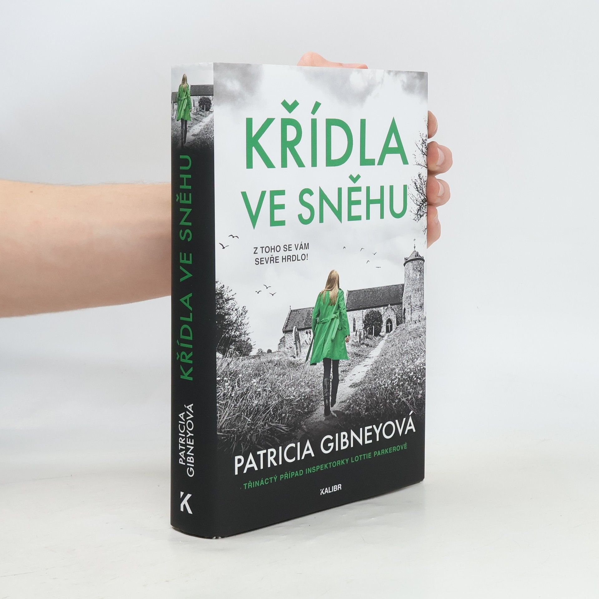Patricia Gibney Křídla ve sněhu