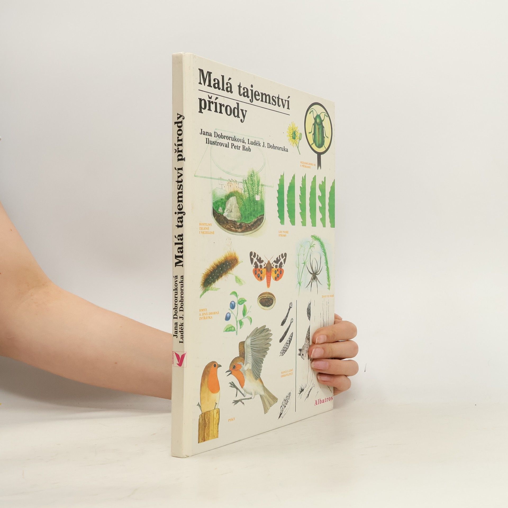 Malá tajemství přírody