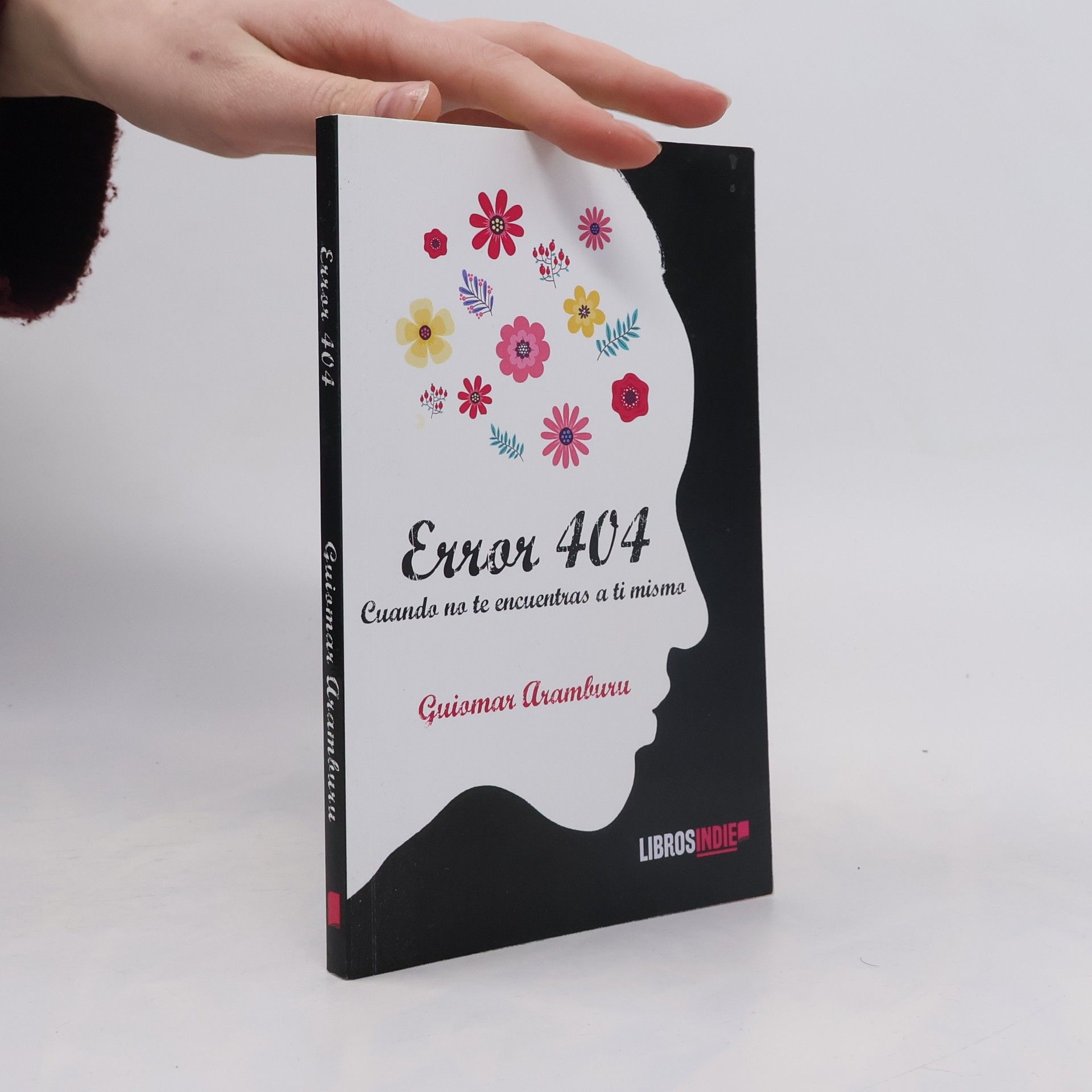 Guiomar Aramburu Error 404