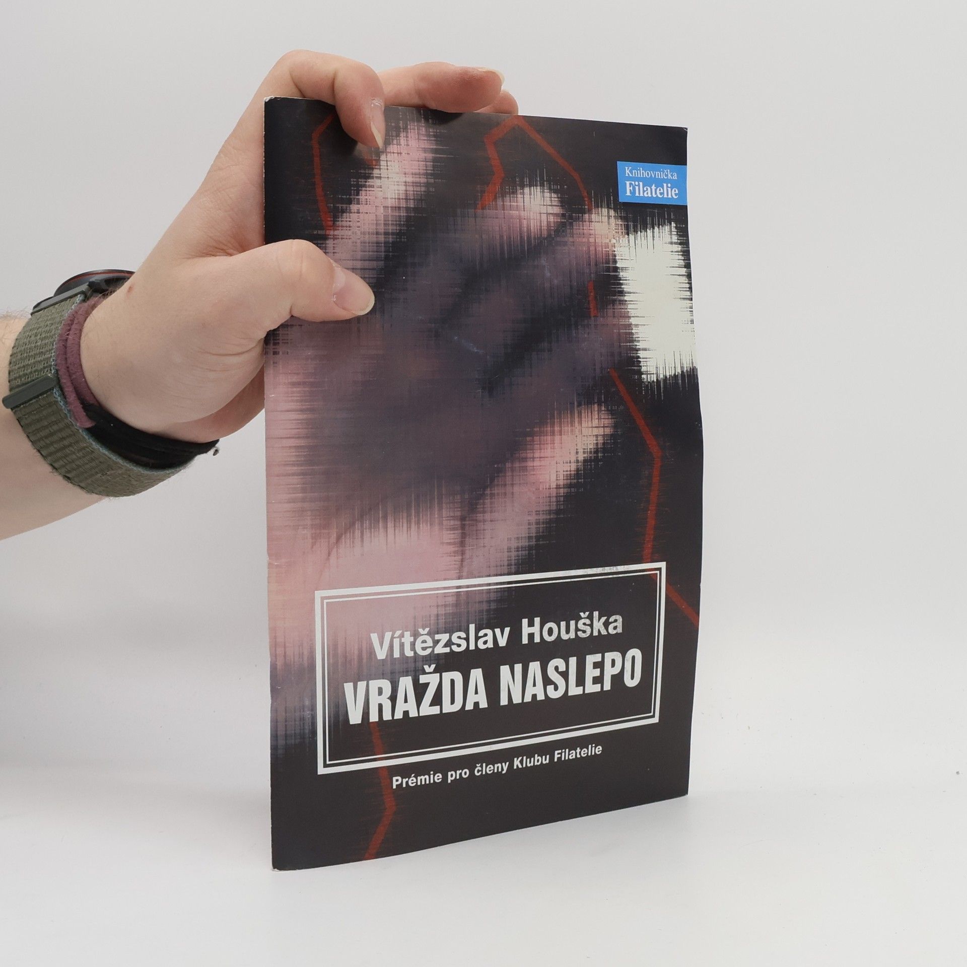 Vítězslav Houška Vražda naslepo