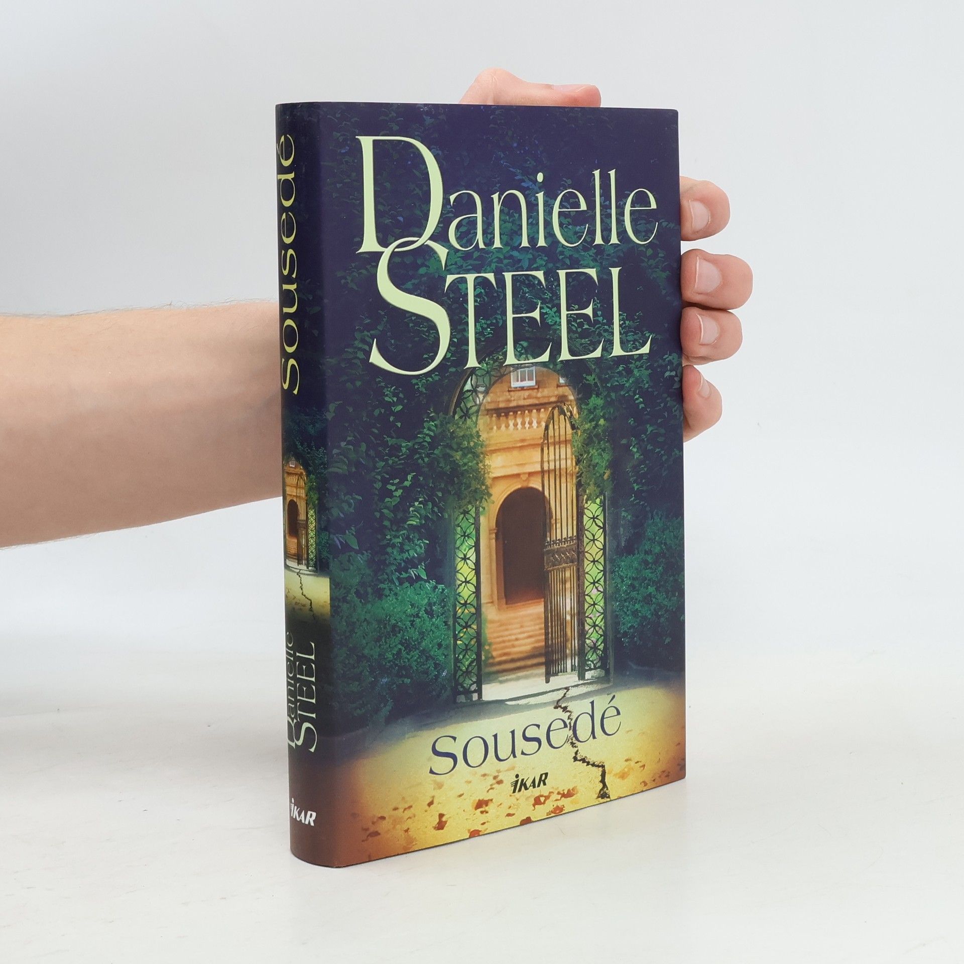 Danielle Steel Sousedé