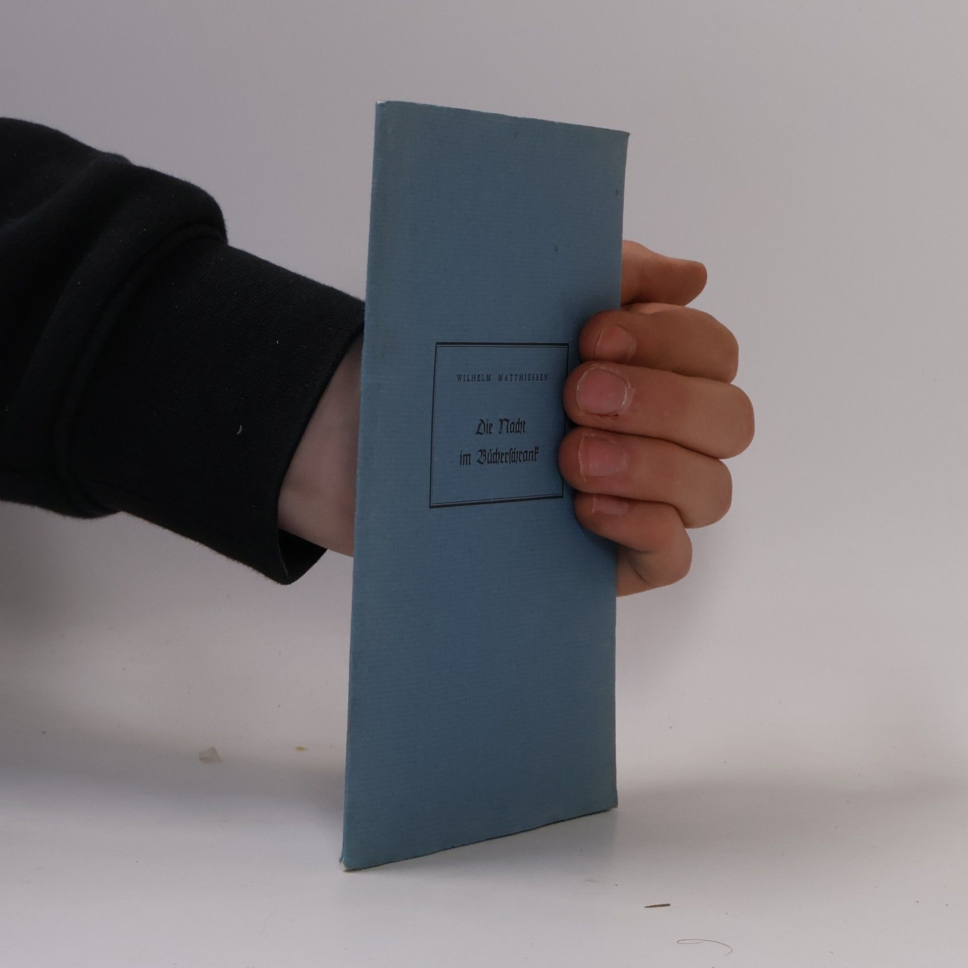 Wilhelm Matthießen Die Nacht im Bücherschrank