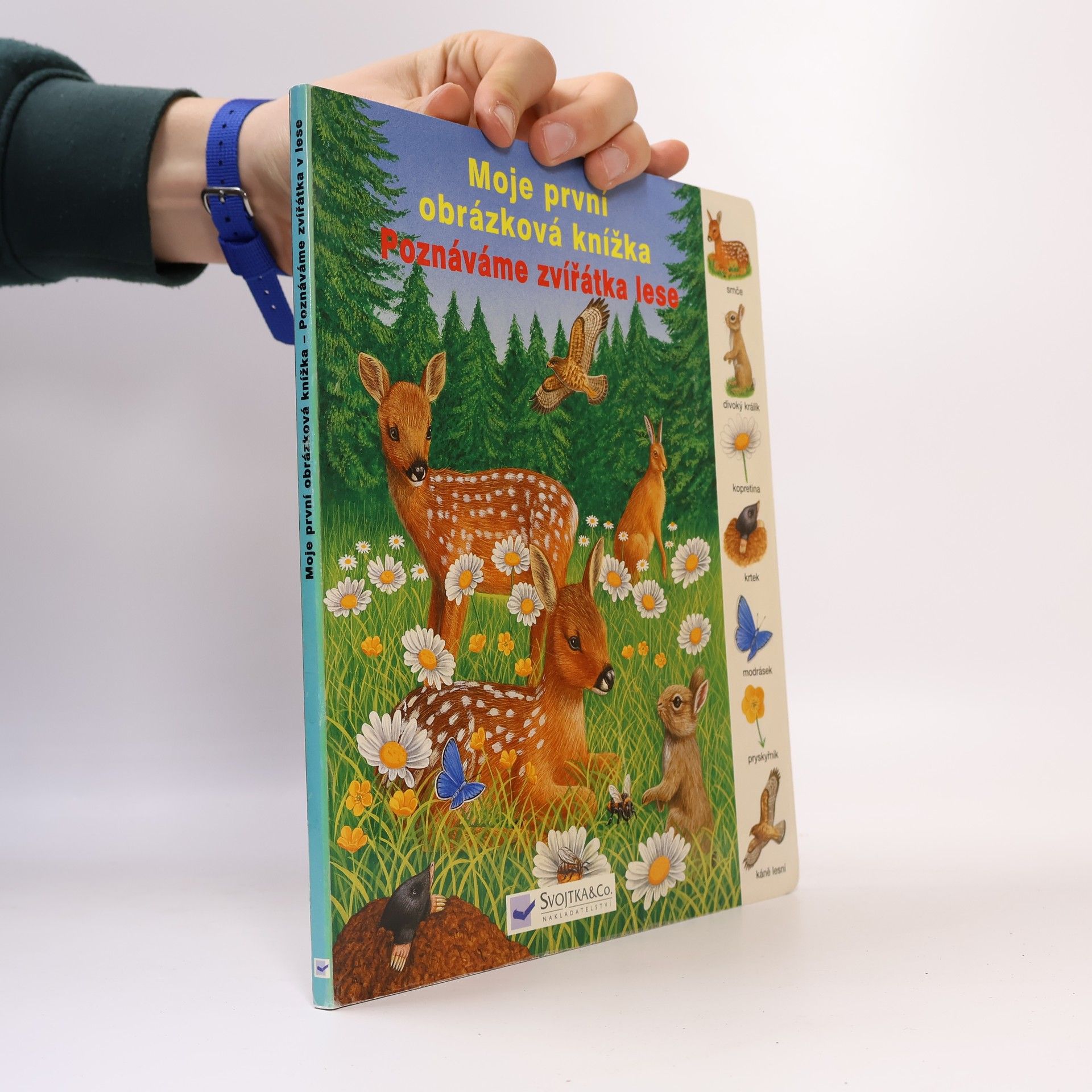 Dagmar Steidl Poznáváme zvířátka v lese