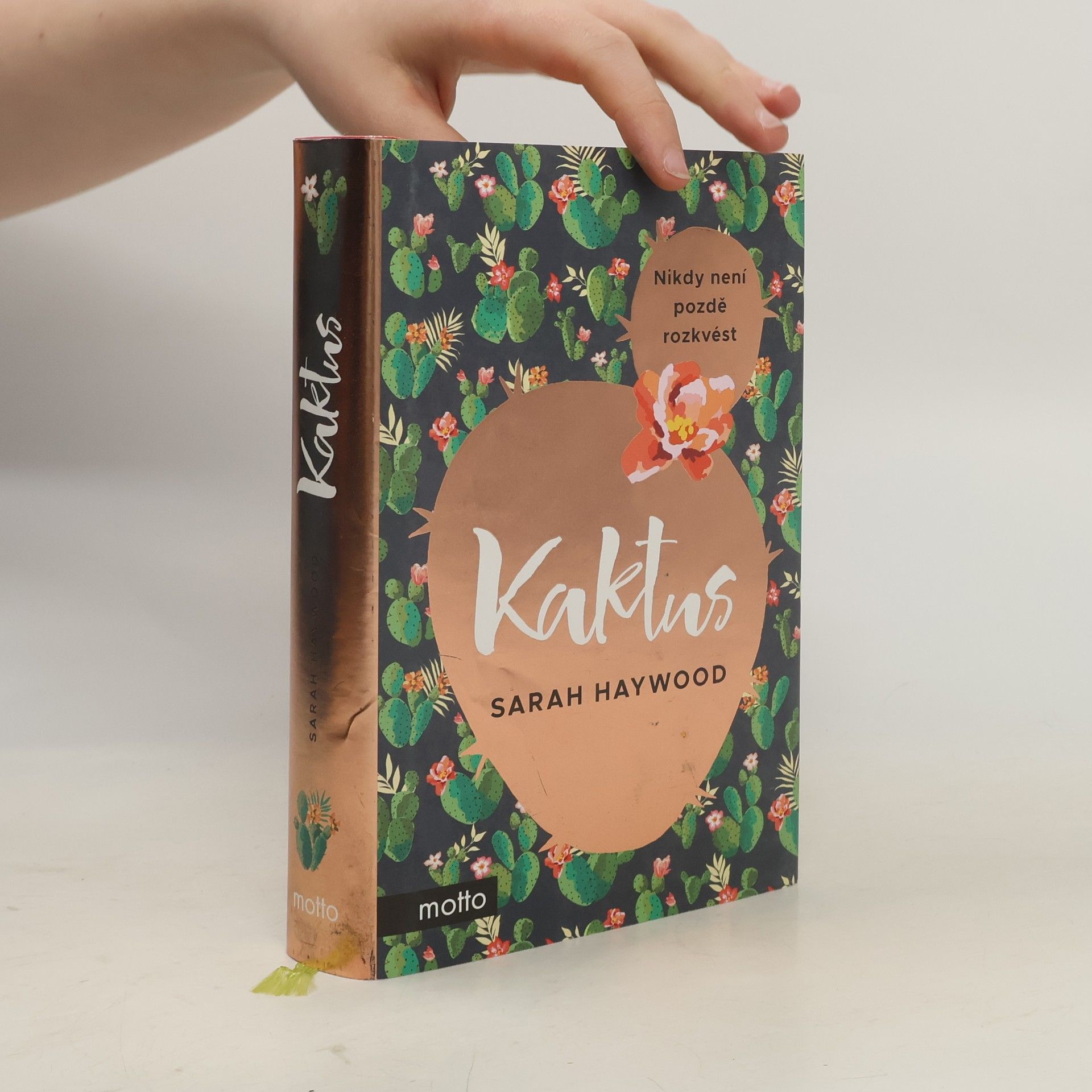 Sarah Haywood Kaktus