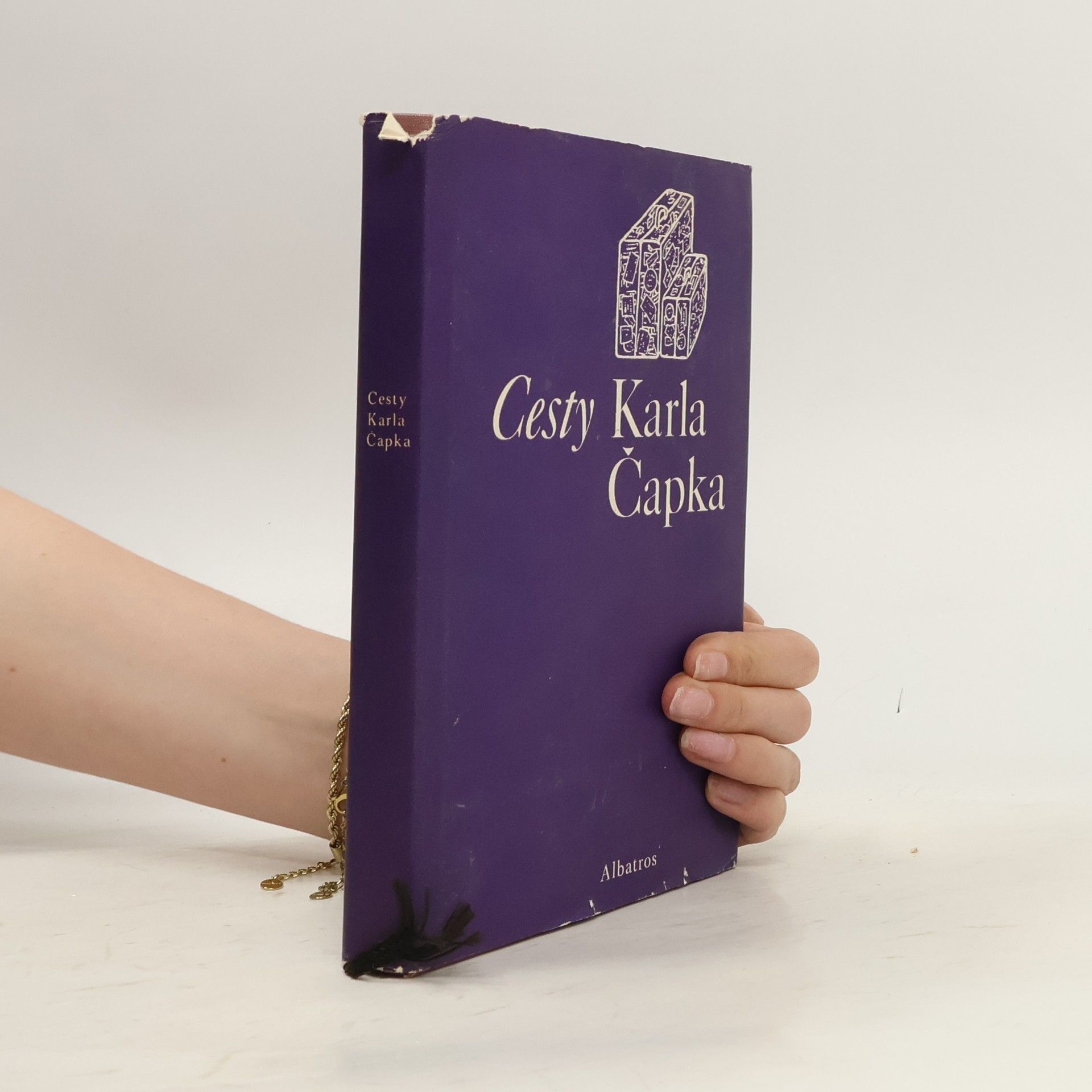 Karel Čapek Cesty Karla Čapka
