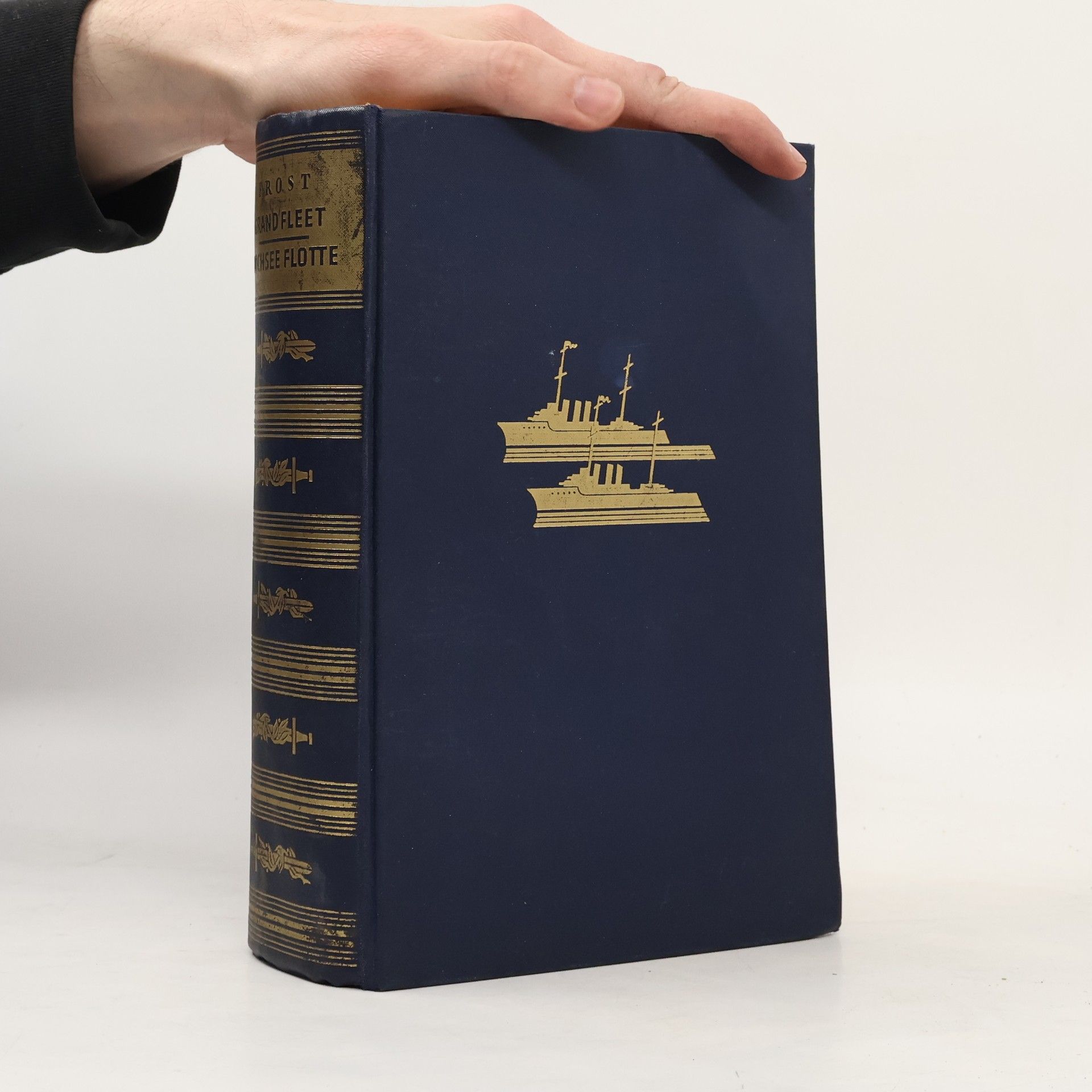 Holloway Halstead Frost Grand Fleet und Hochseeflotte im Weltkrieg
