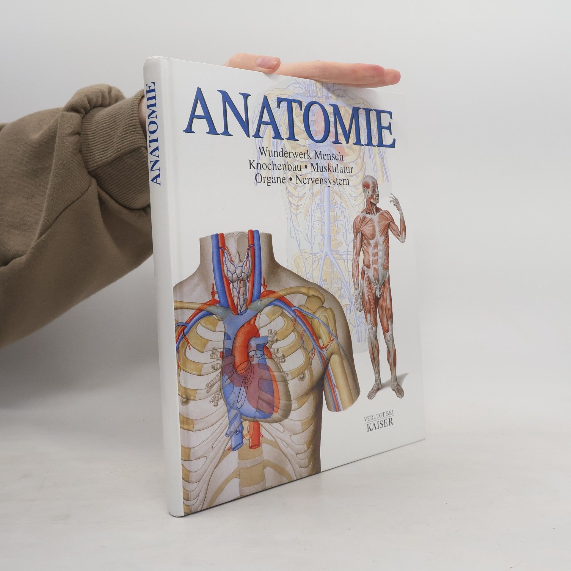 Carmen Schöninger Anatomie