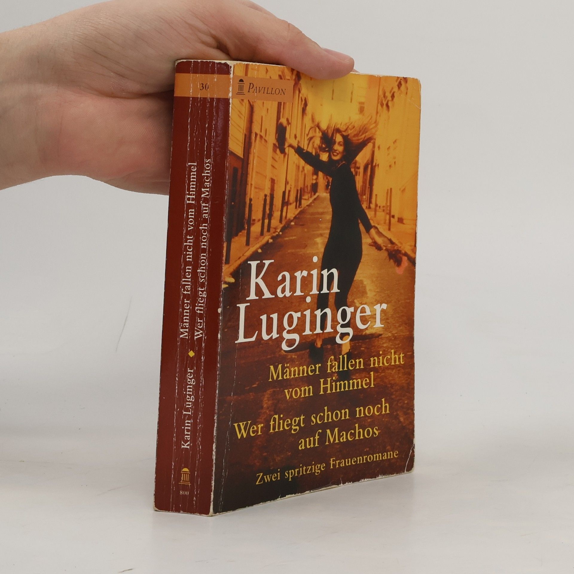 Karin Luginger Männer fallen nicht vom Himmel