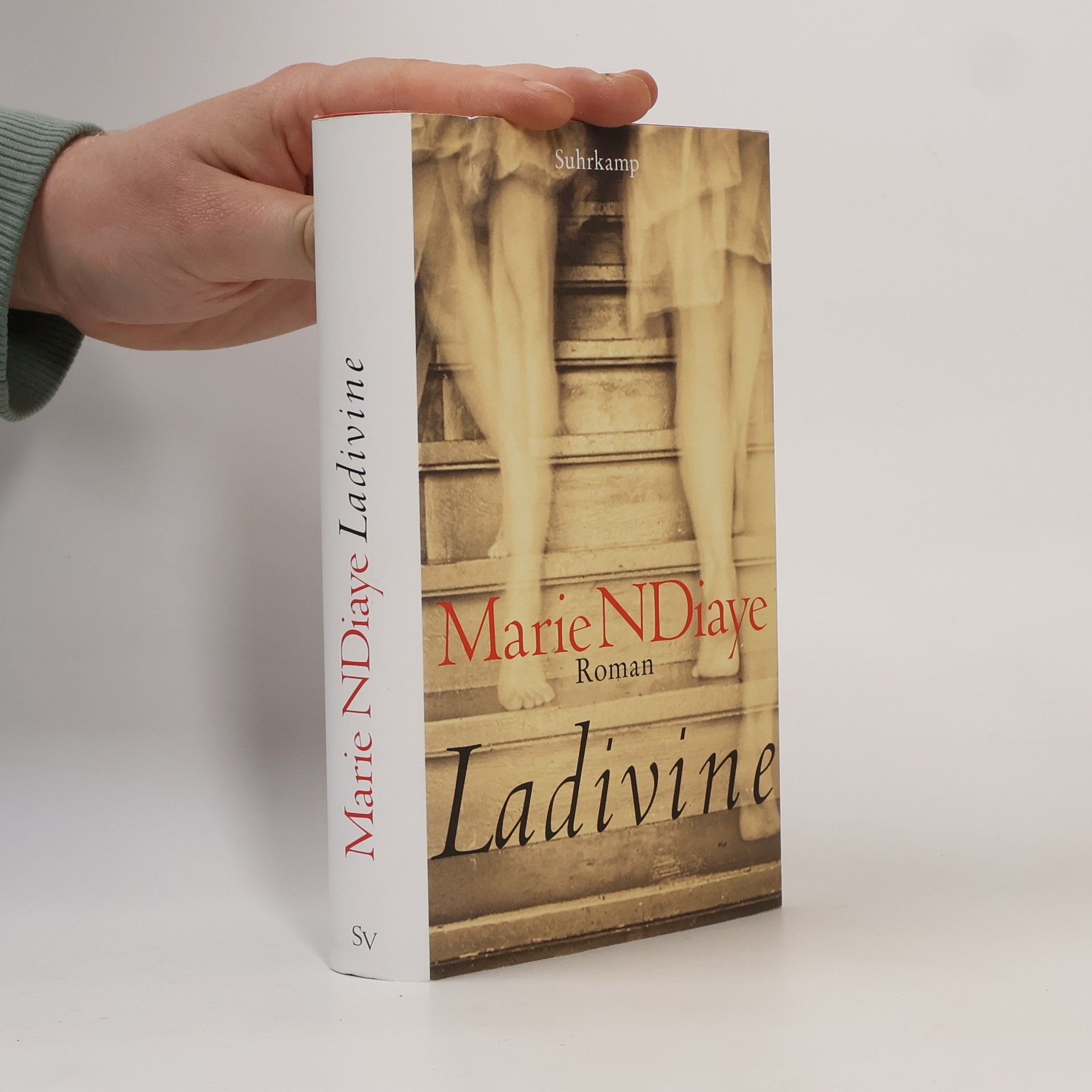 Marie Ndiaye Ladivine