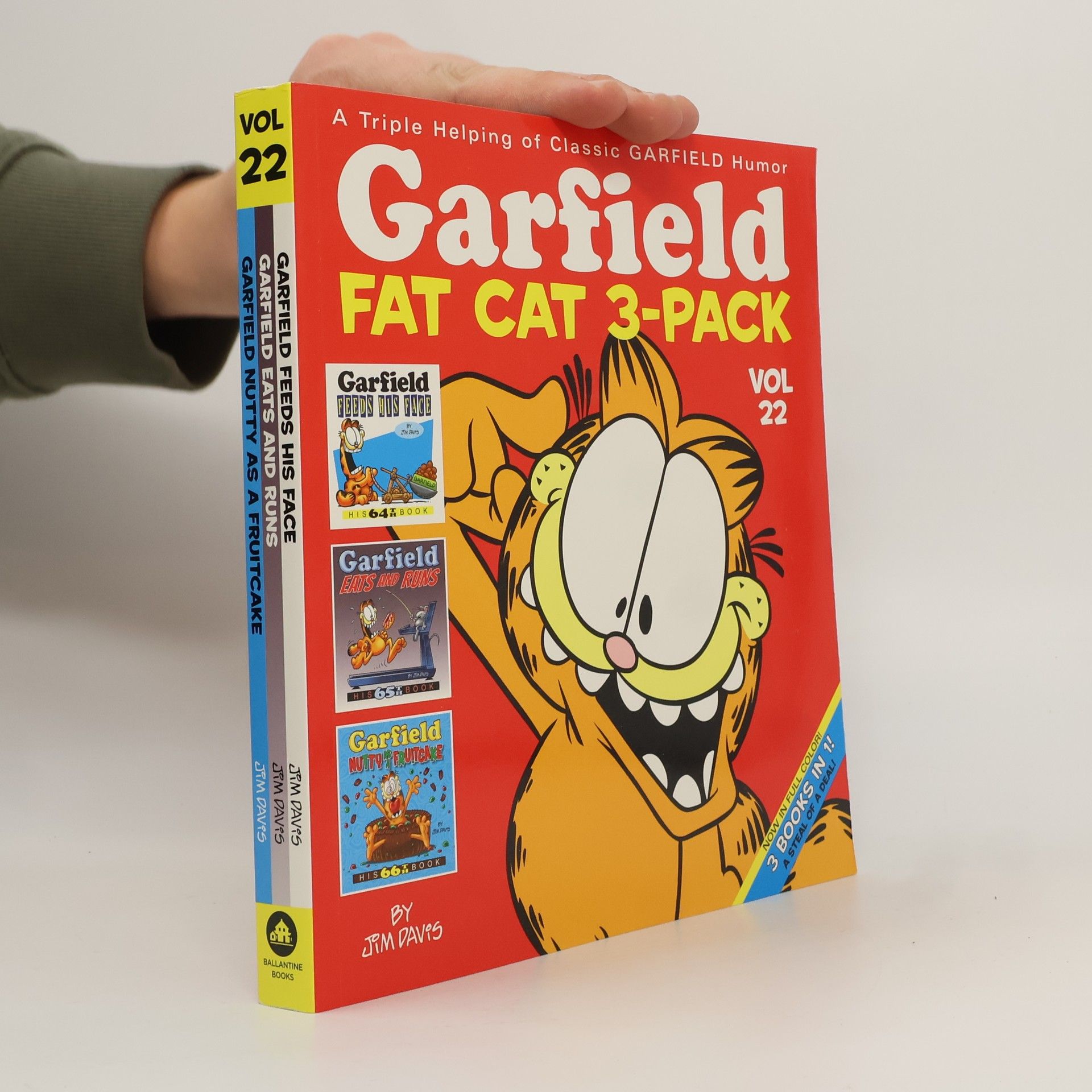 Jim Davis Garfield Fat Cat 3-Pack #22