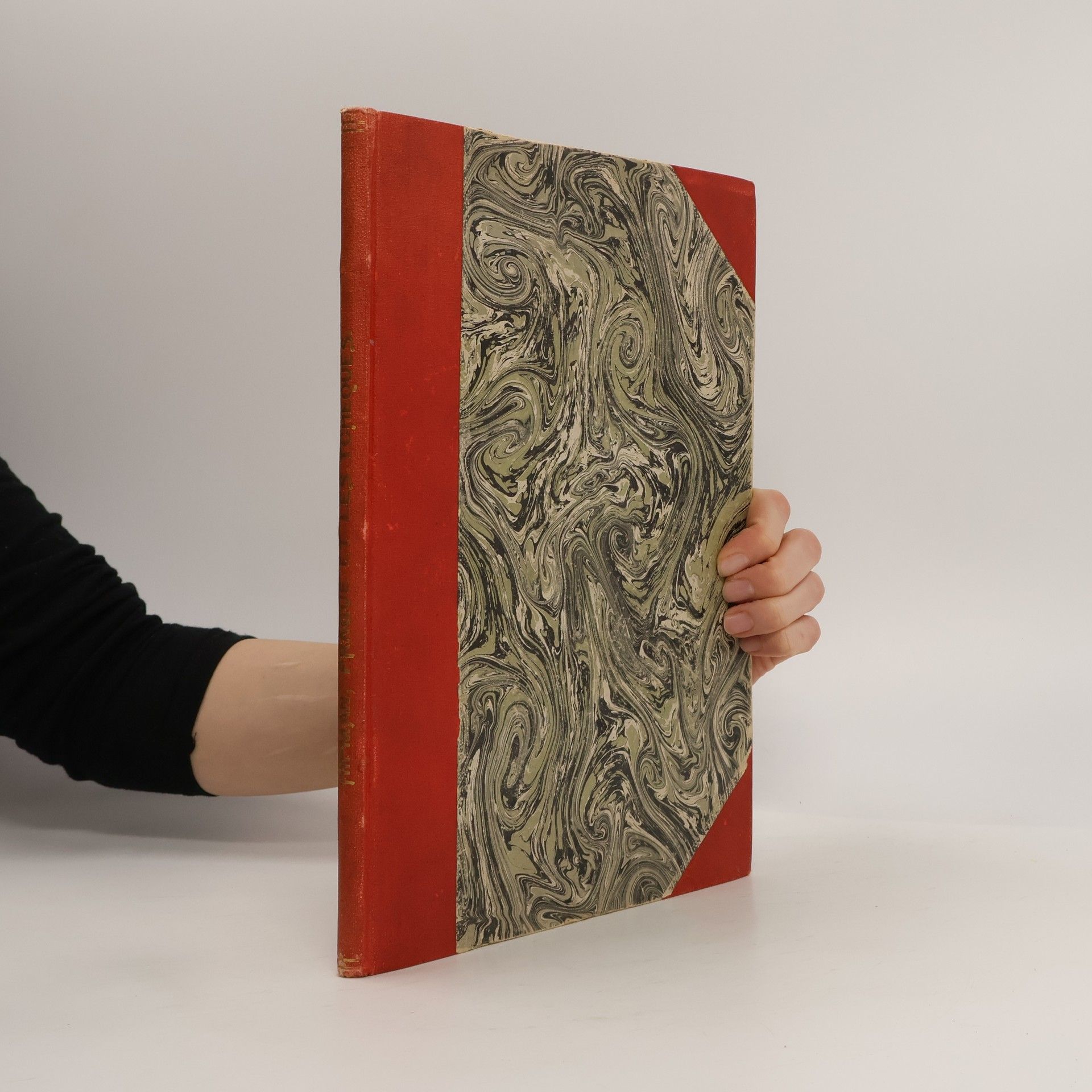 Auteurscollectief Prague et les Tchéques