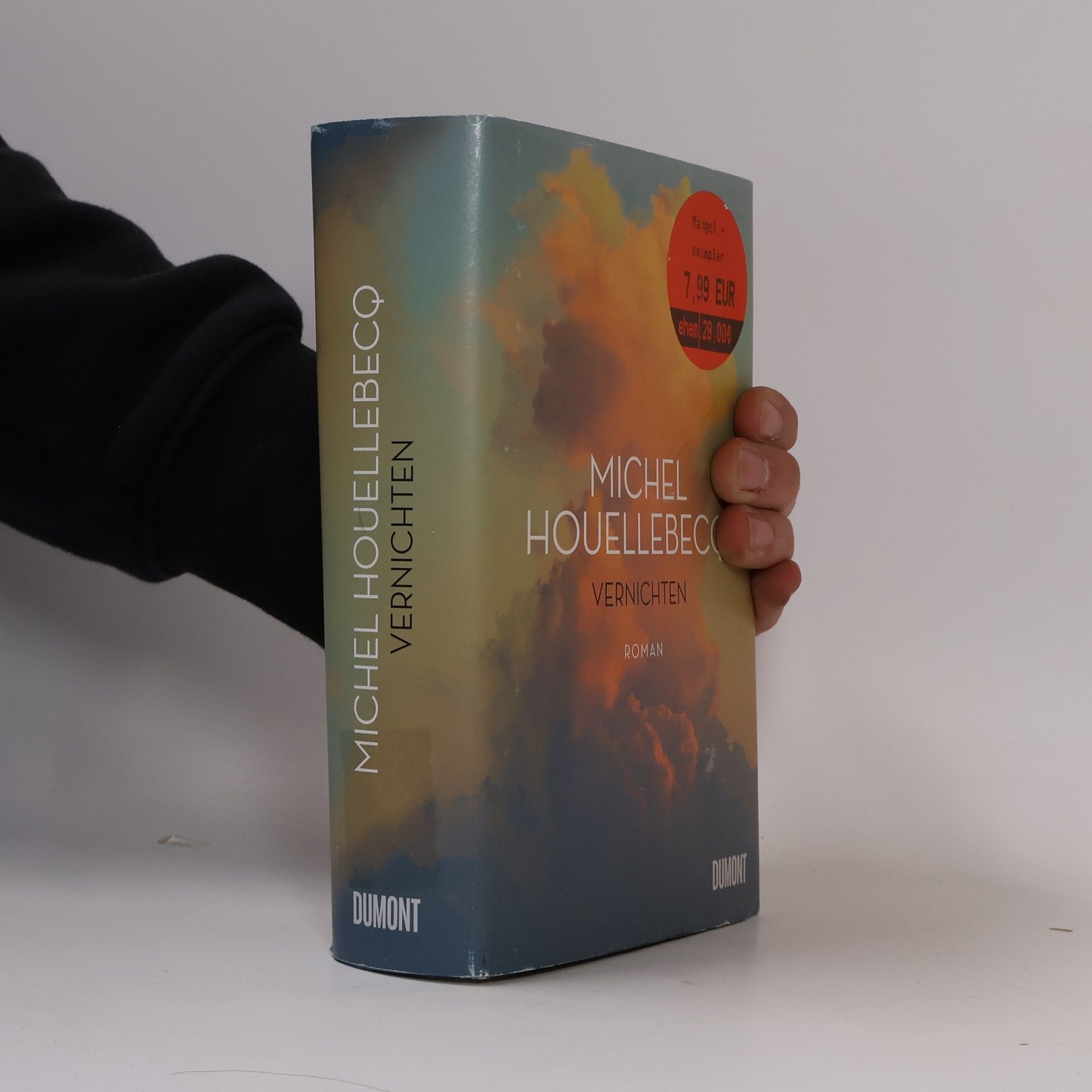 Michel Houellebecq Vernichten