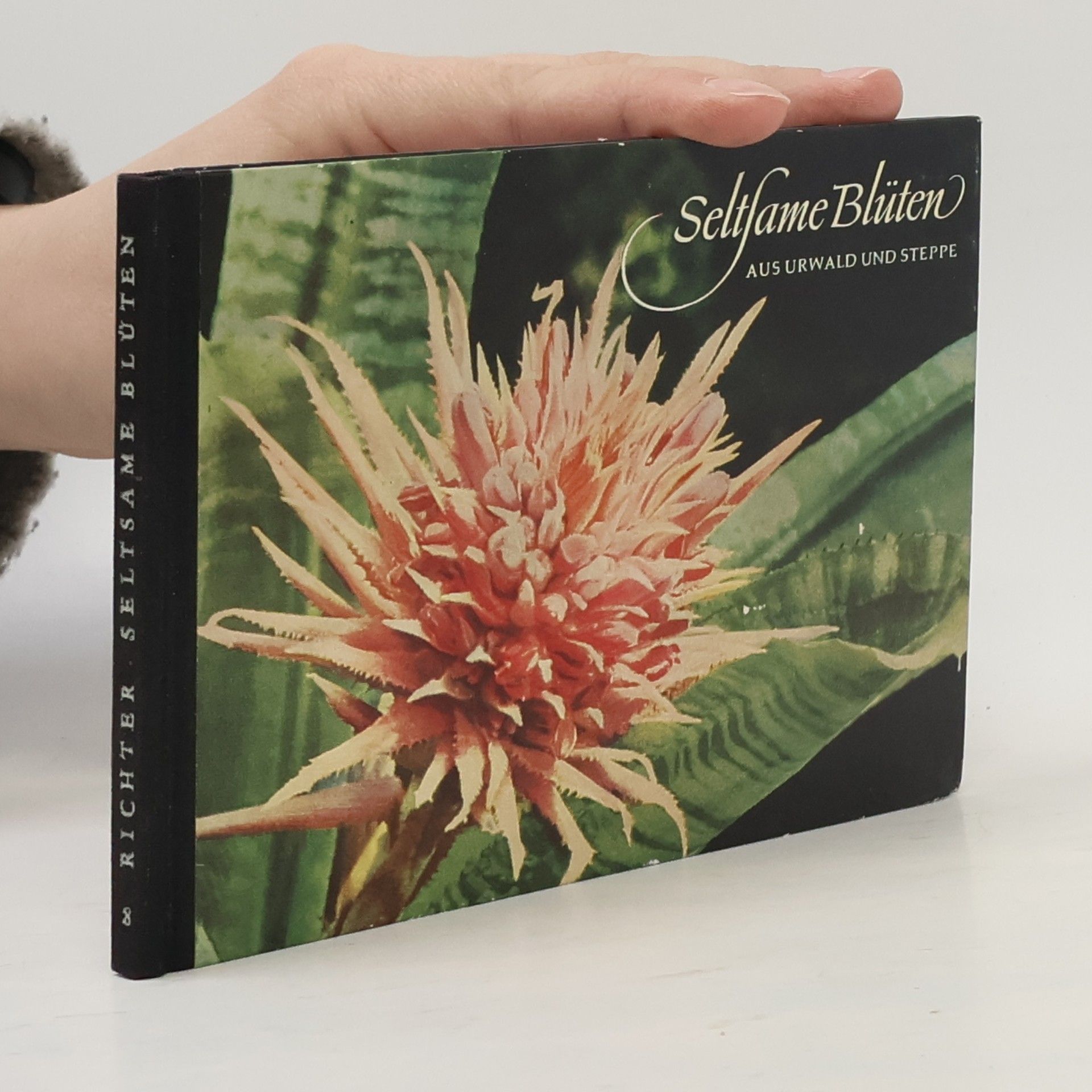 Walter Richter Seltsame Blüten aus Urwald und Steppe