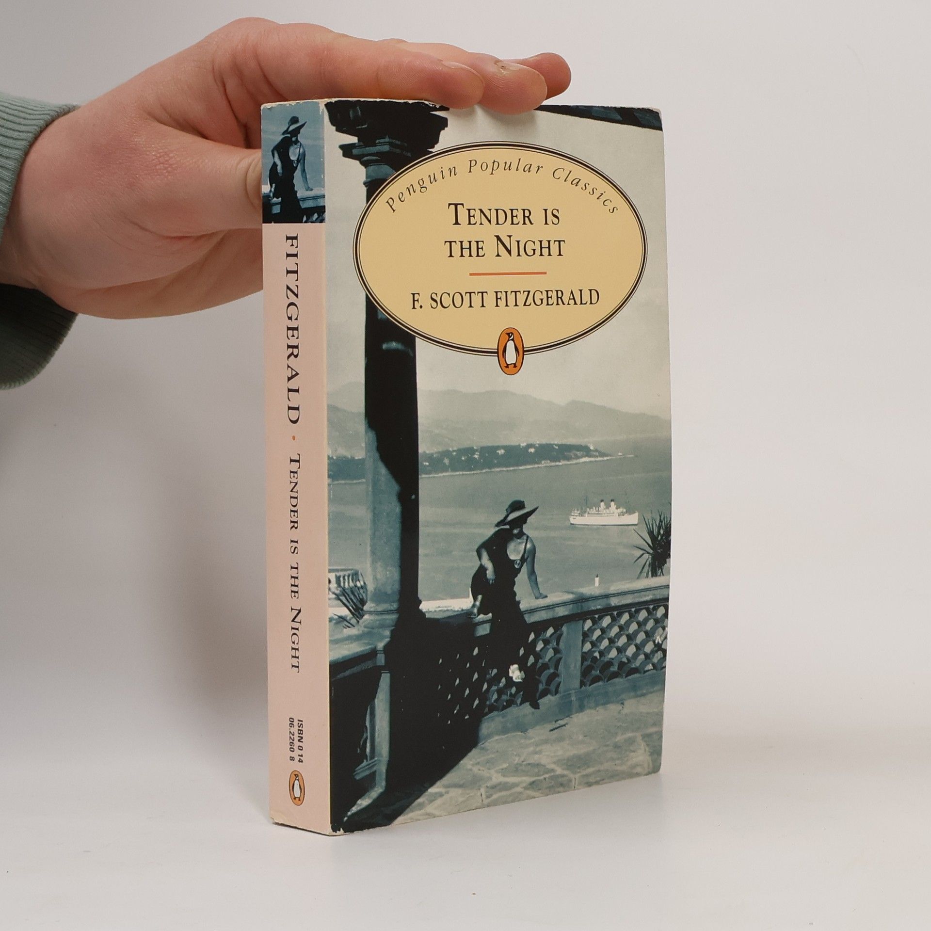 Francis Scott Fitzgerald Tender is the Night