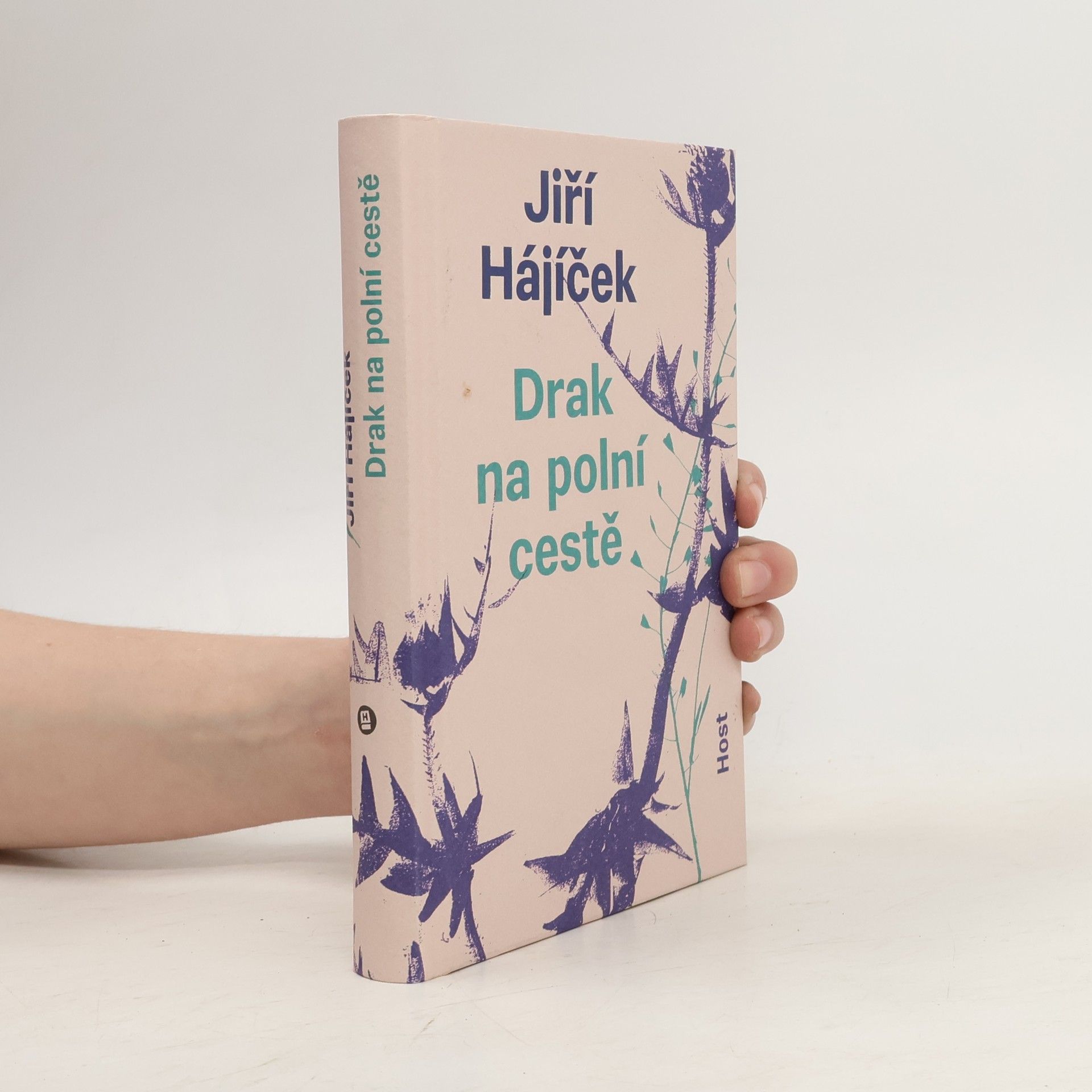 Jiří Hájíček Drak na polní cestě