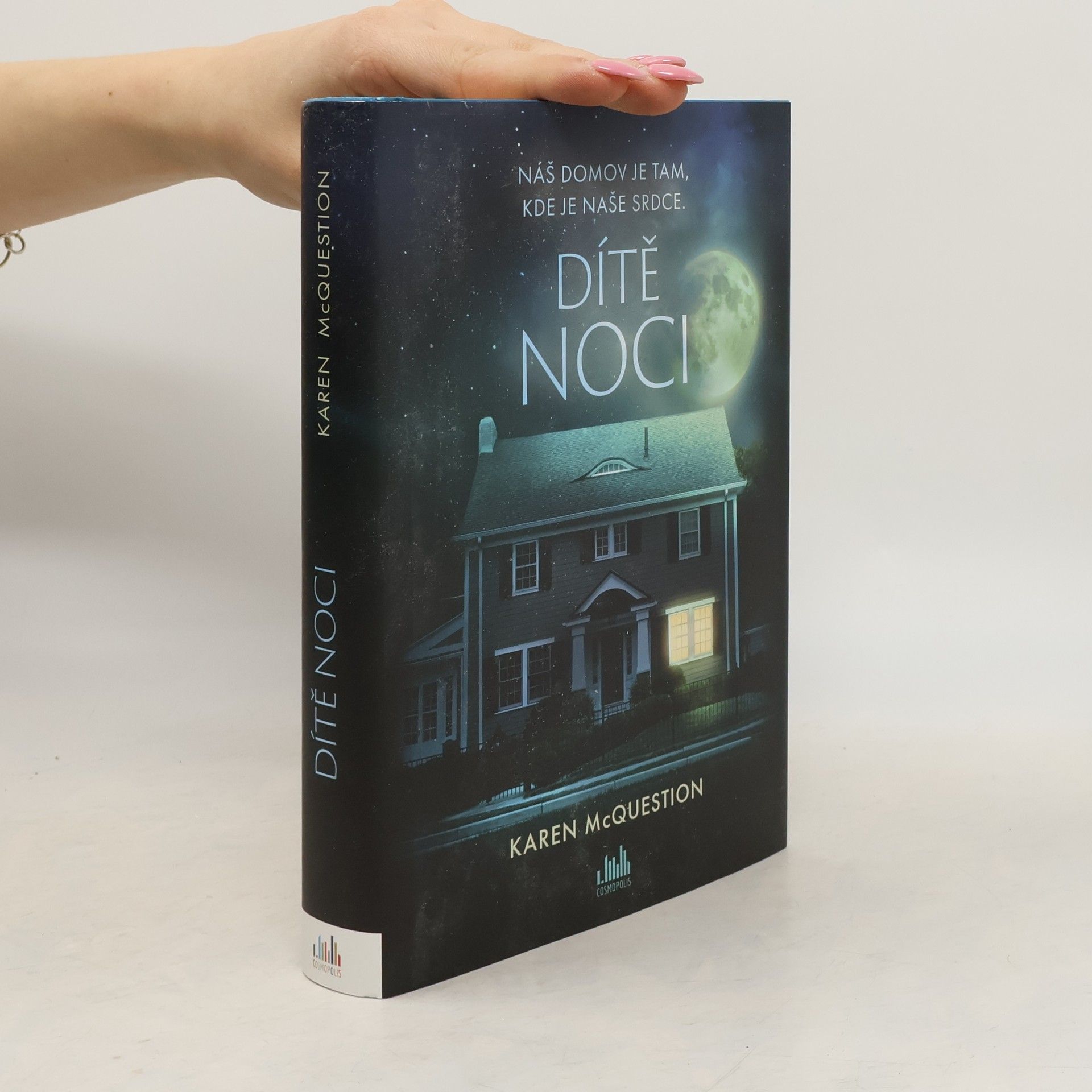 Karen McQuestion Dítě noci