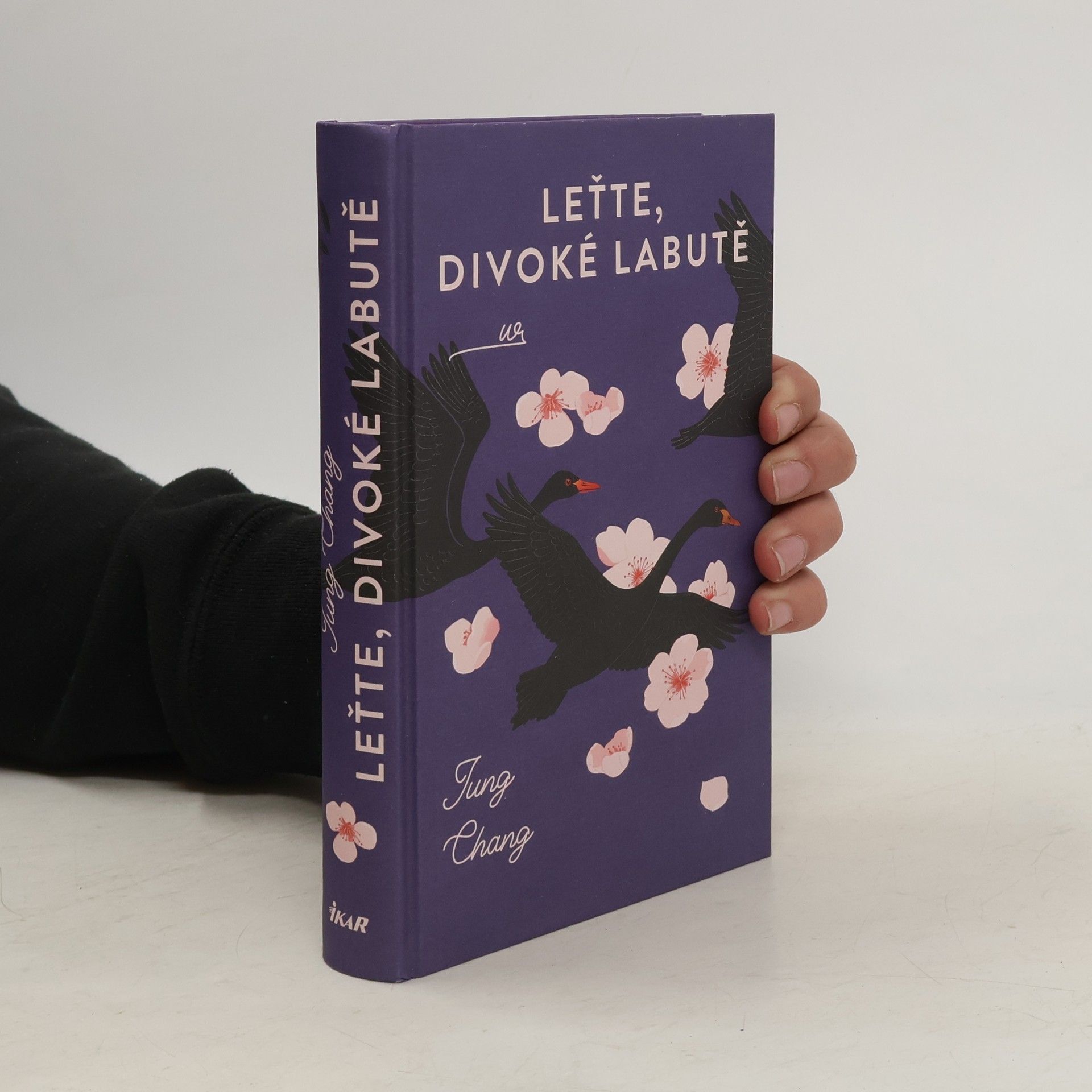 Jung Chang Leťte, divoké labutě