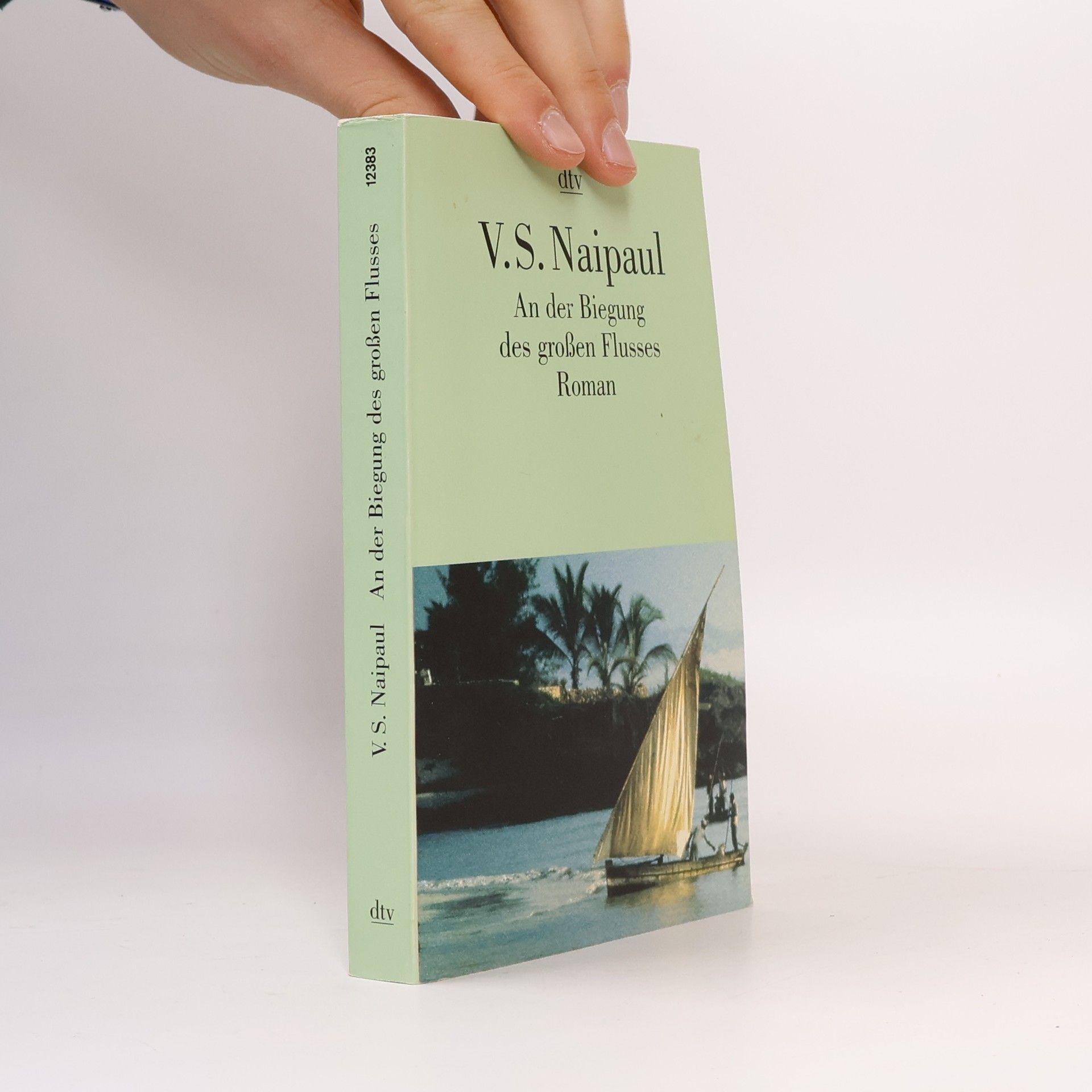 V. S. Naipaul An der Biegung des großen Flusses