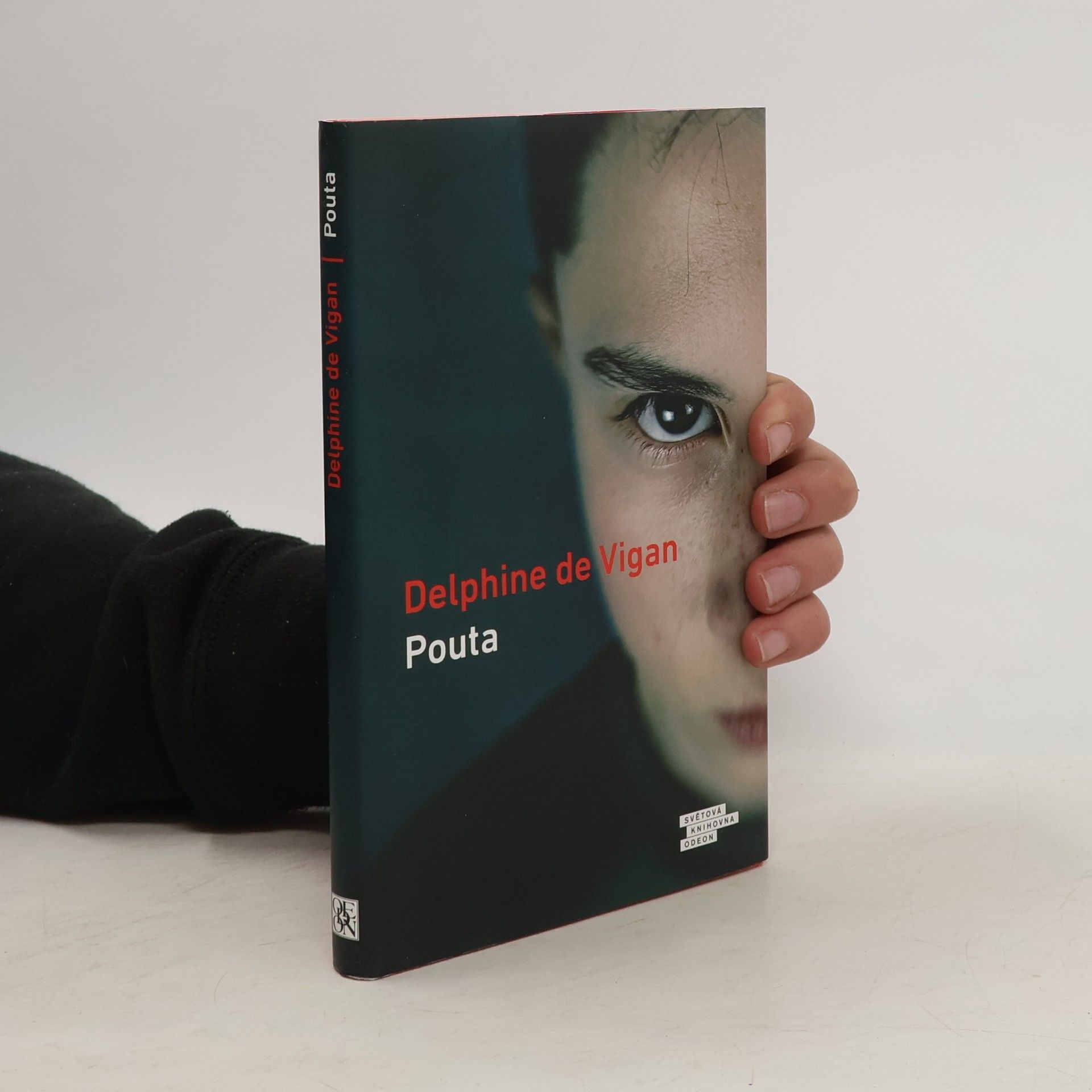 Delphine de Vigan Pouta