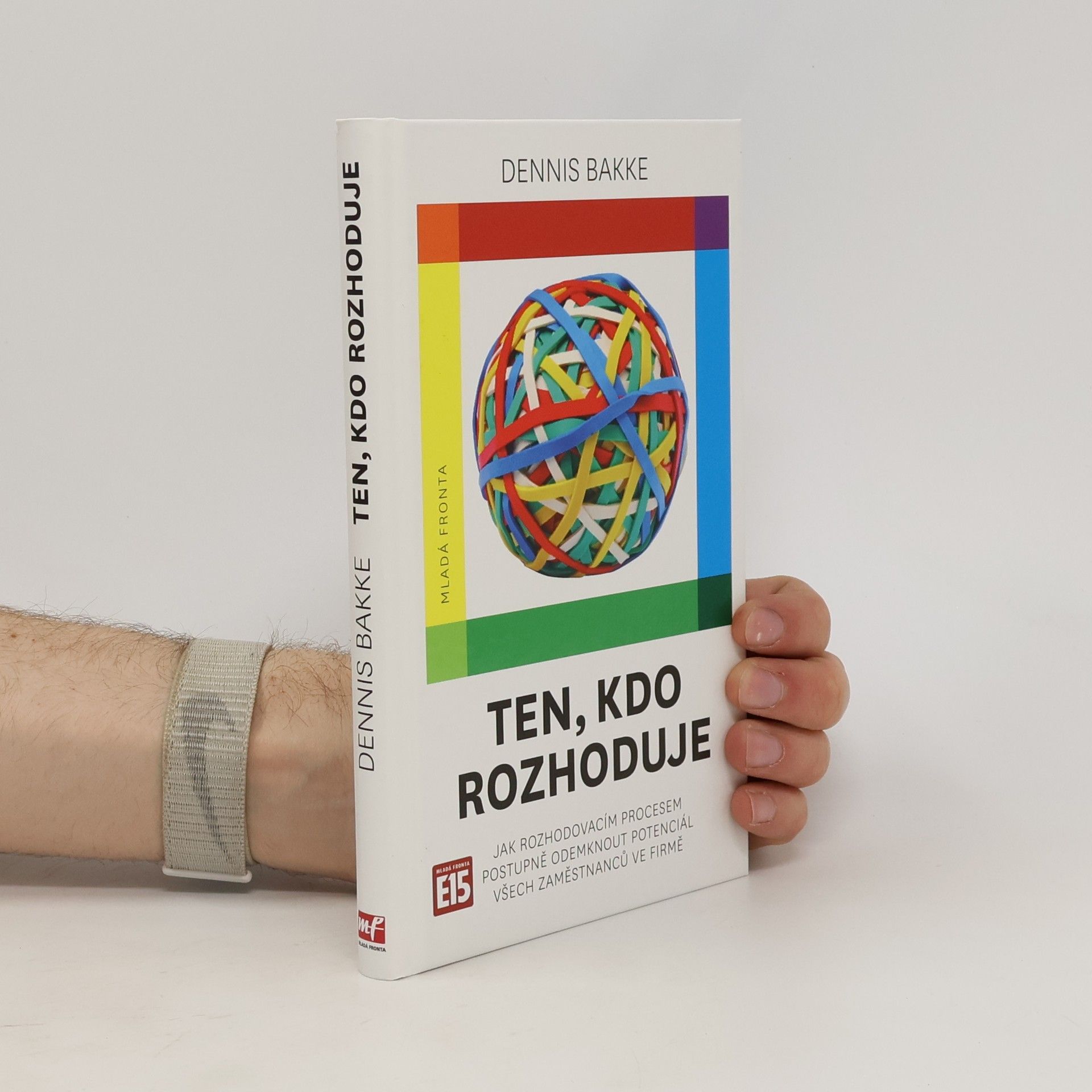 Ten, kdo rozhoduje