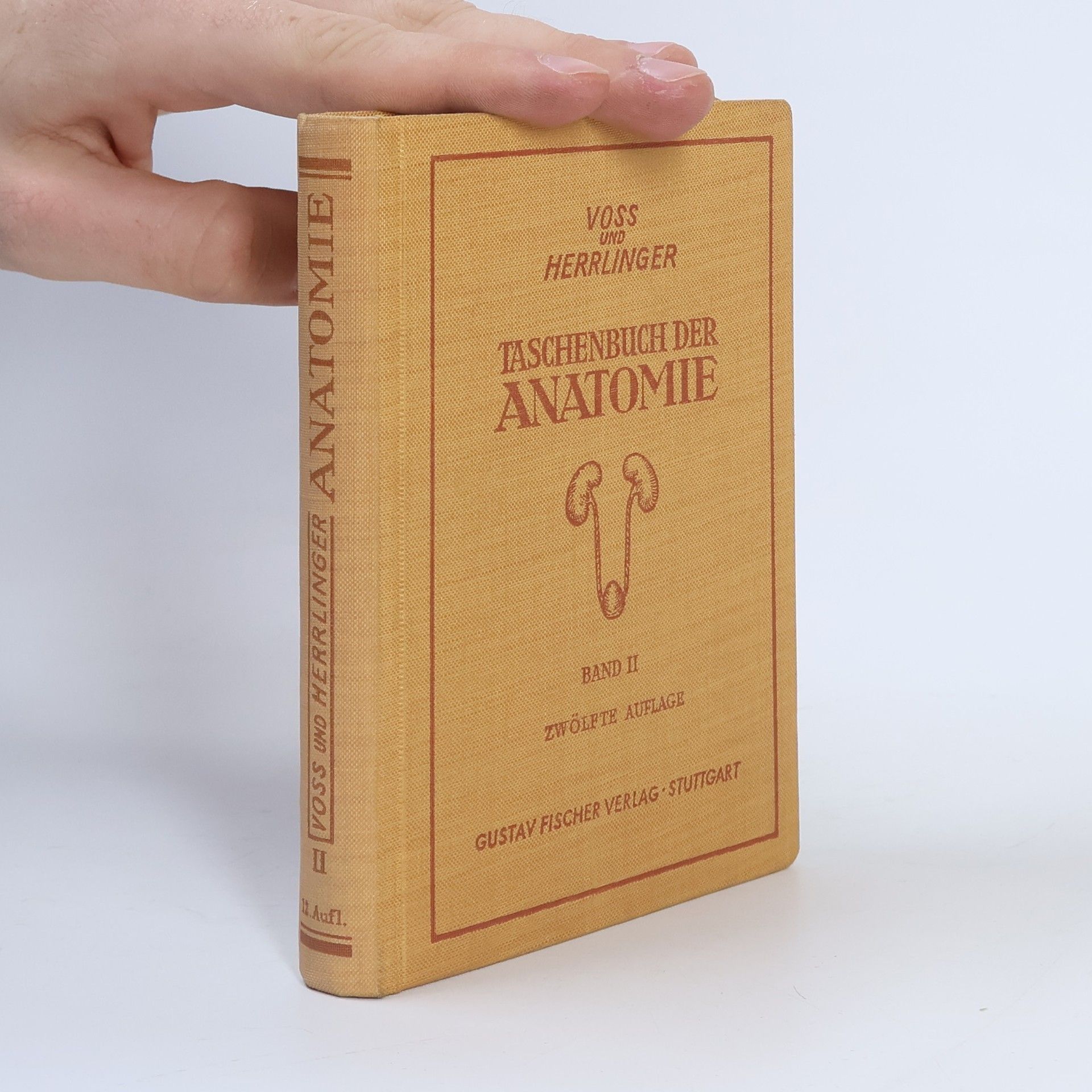 Hermann Voss Taschenbuch der Anatomie