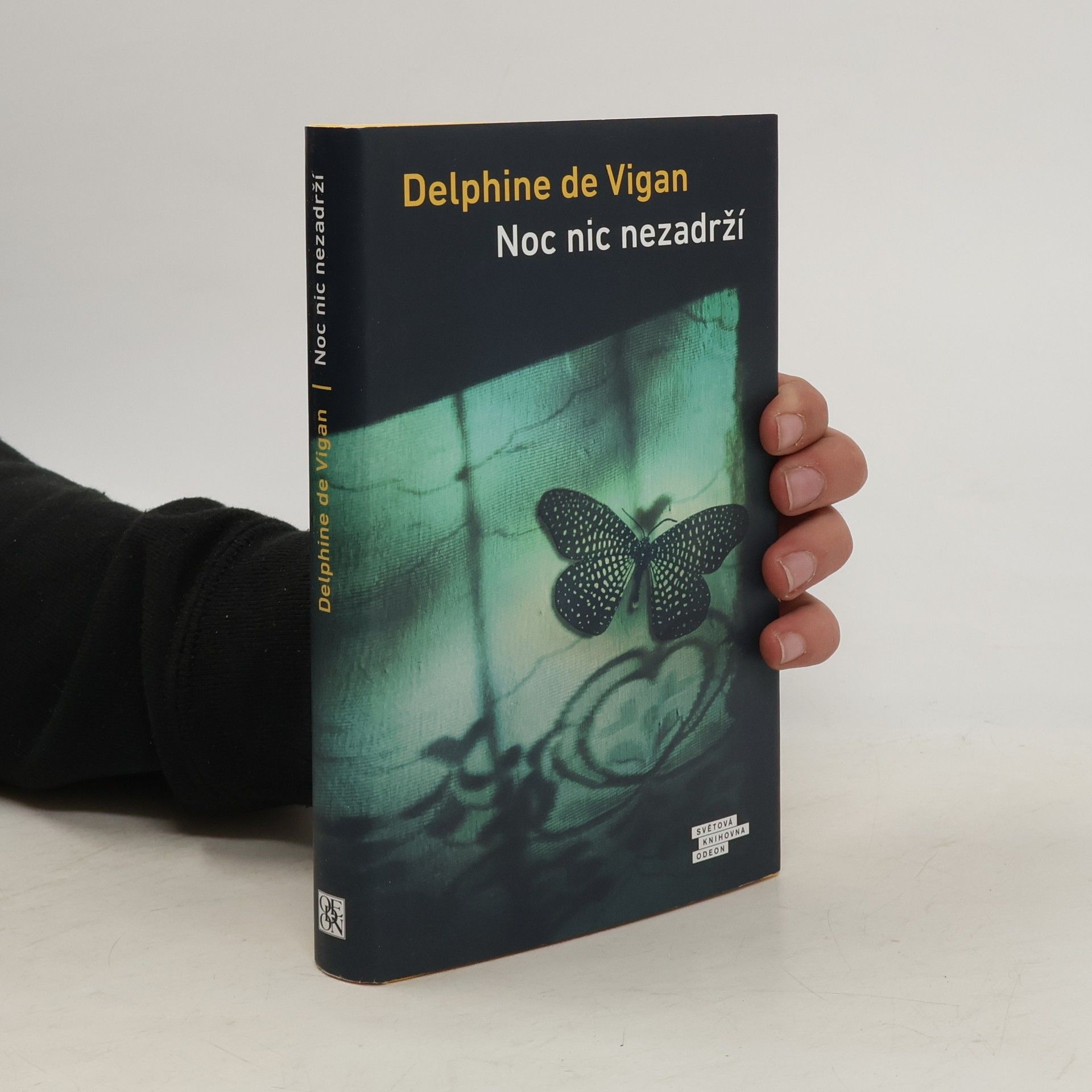 Delphine de Vigan Noc nic nezadrží