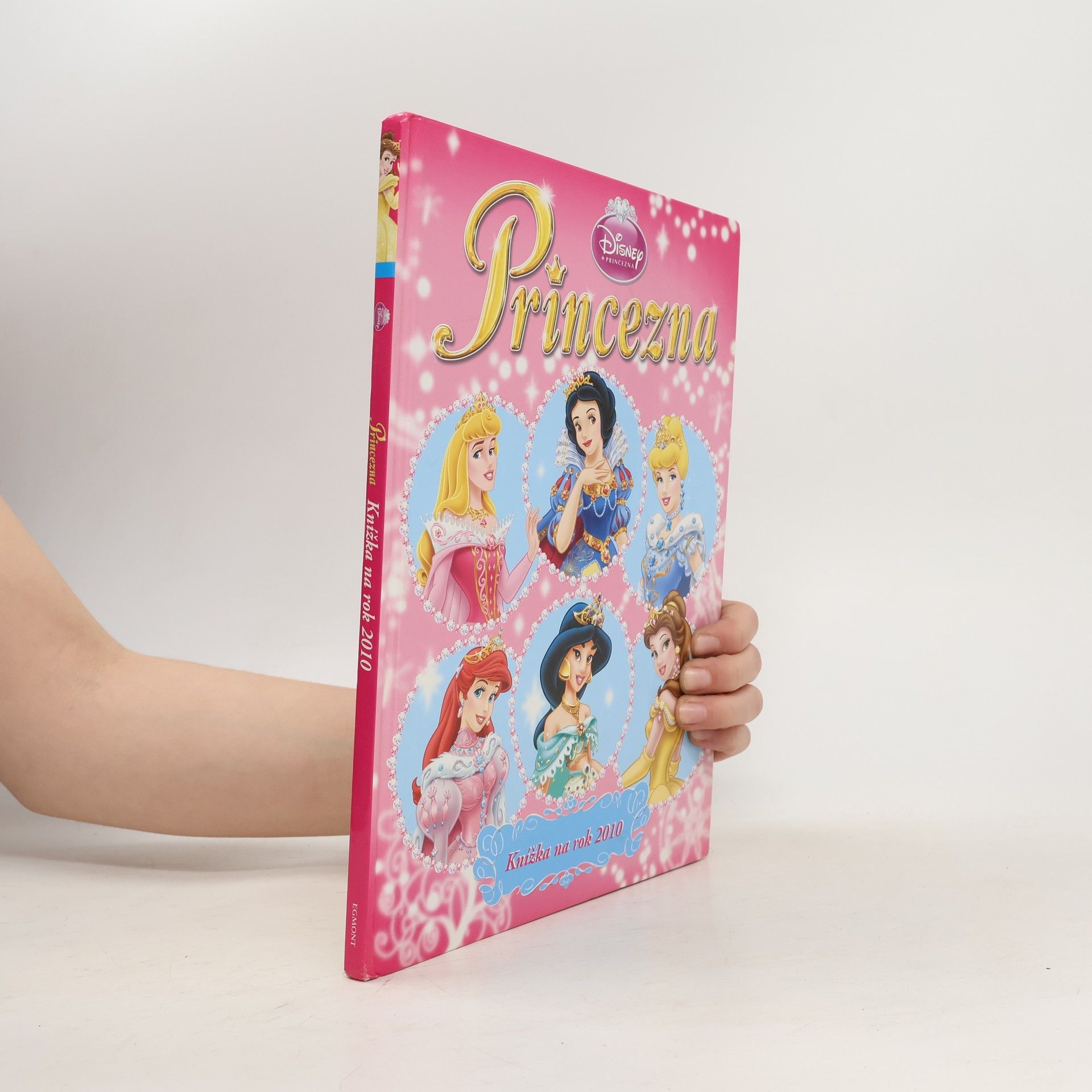 Walt Disney Princezna Knížka na rok 2010
