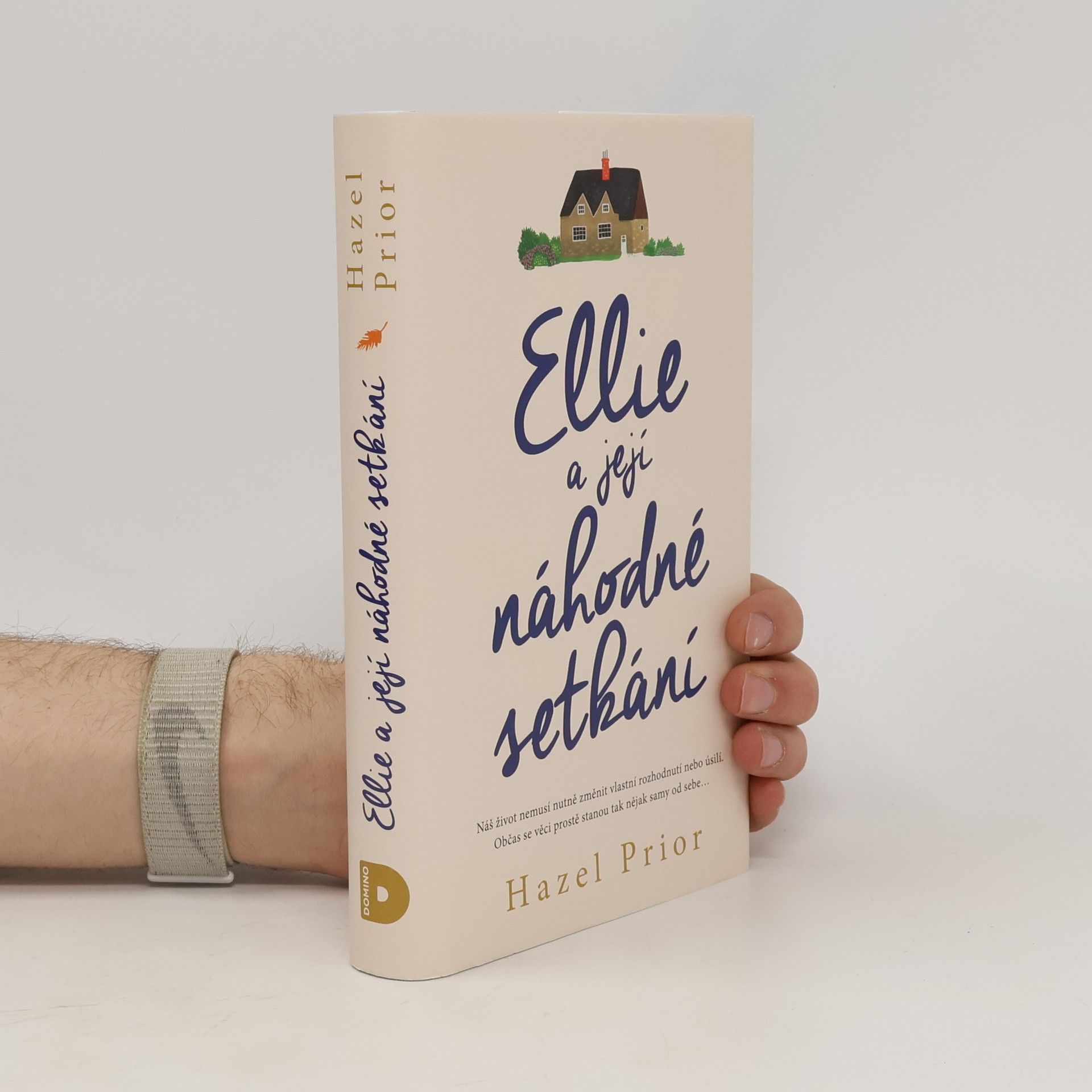 Ellie a její náhodné setkání