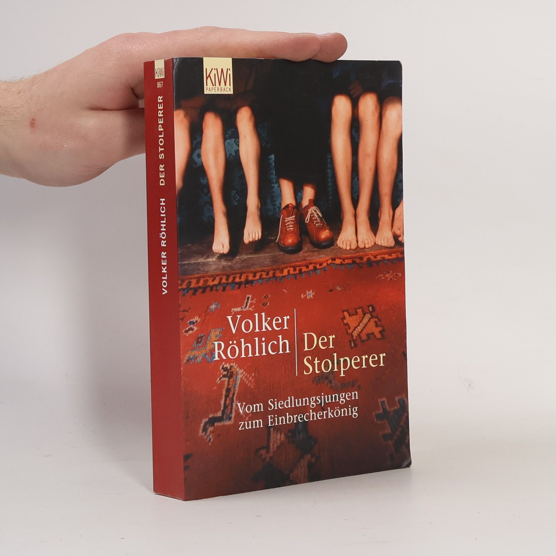 Volker Röhlich Der Stolperer