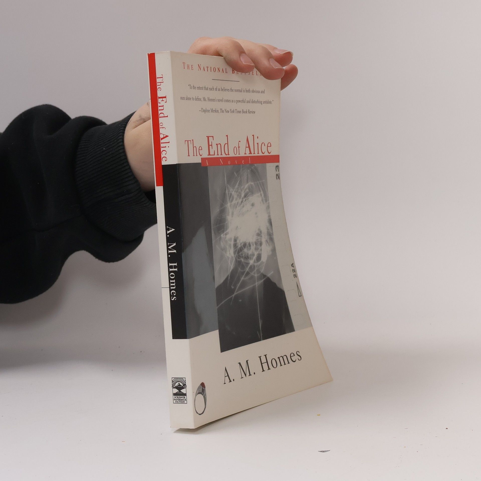 A. M. Homes The End of Alice