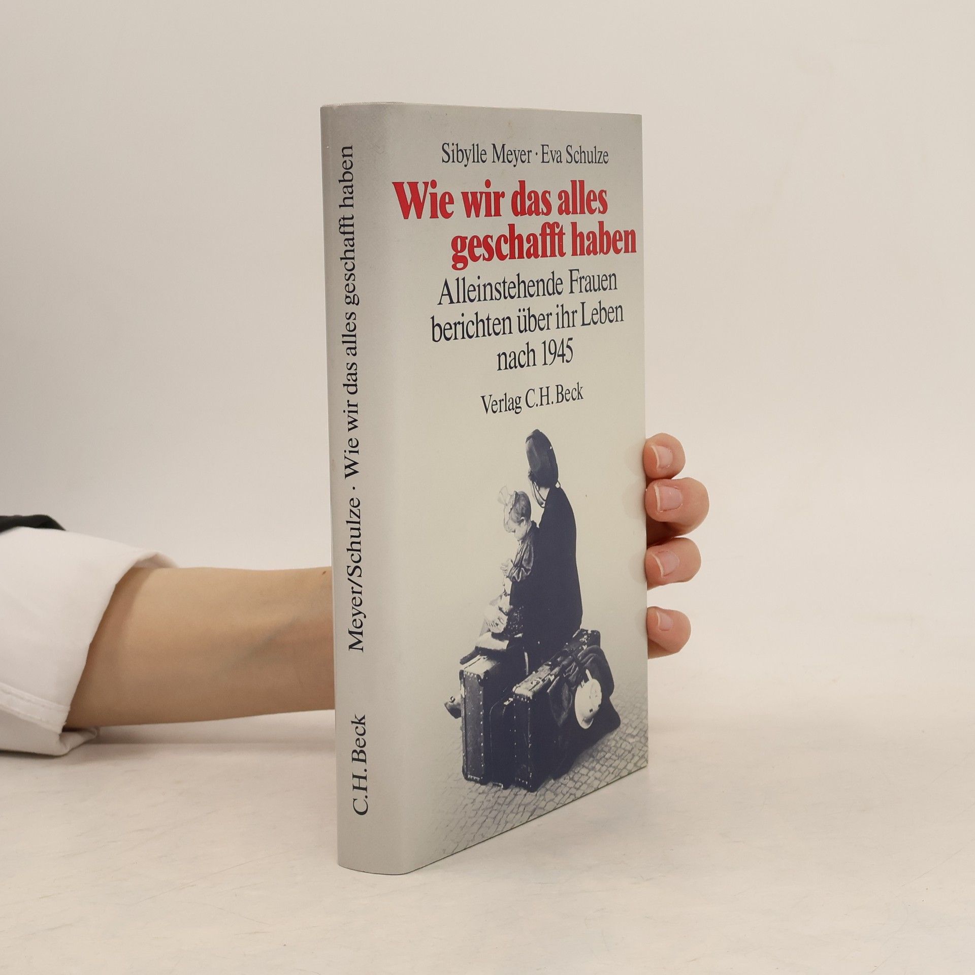 Sibylle Meyer Wie wir das alles geschafft haben