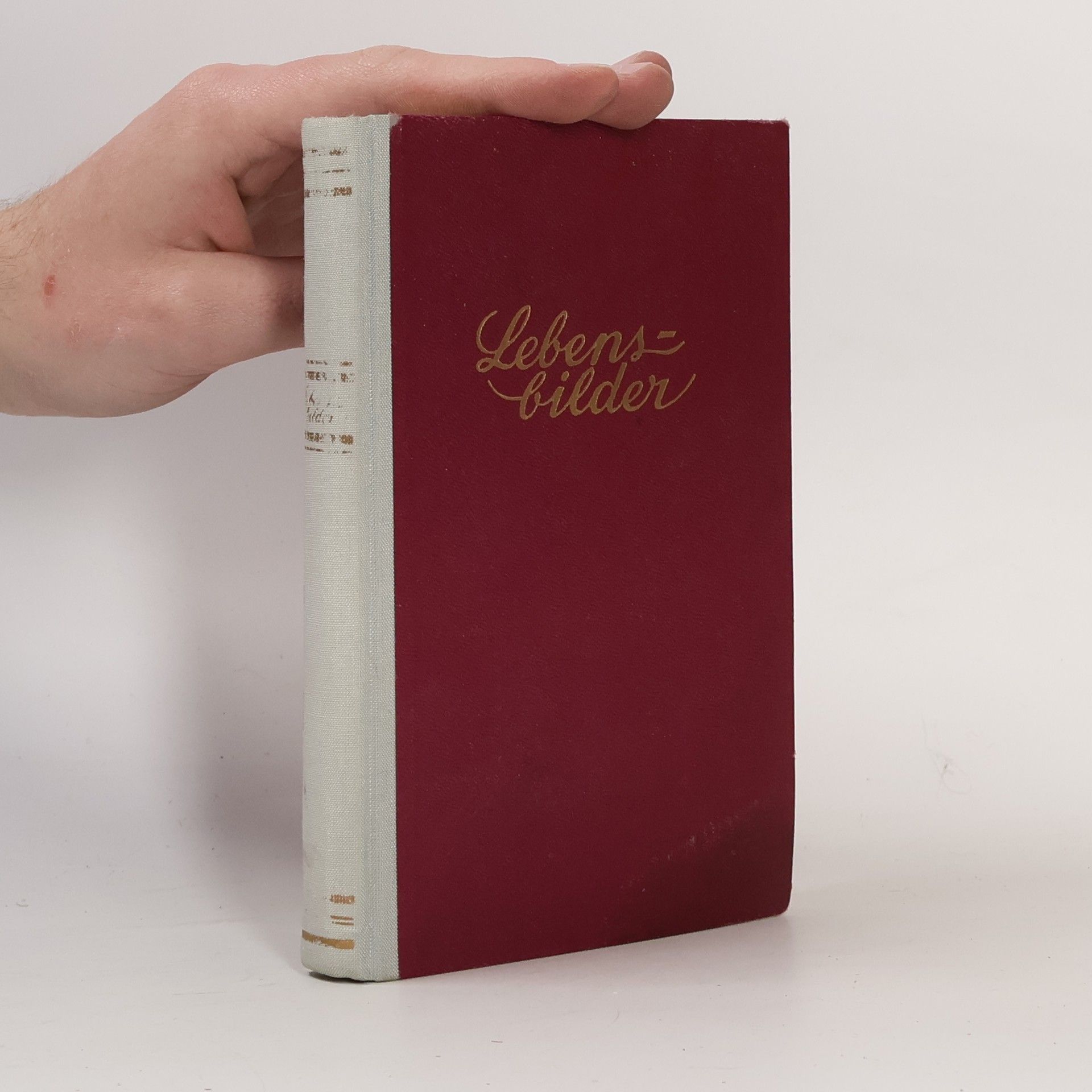 Kolektiv autorů Lebens-bilder