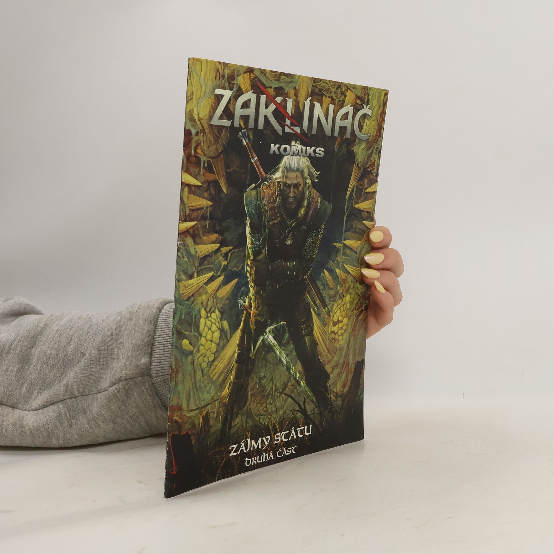 Michal Galek Zaklínač komiks: Zájmy státu 2