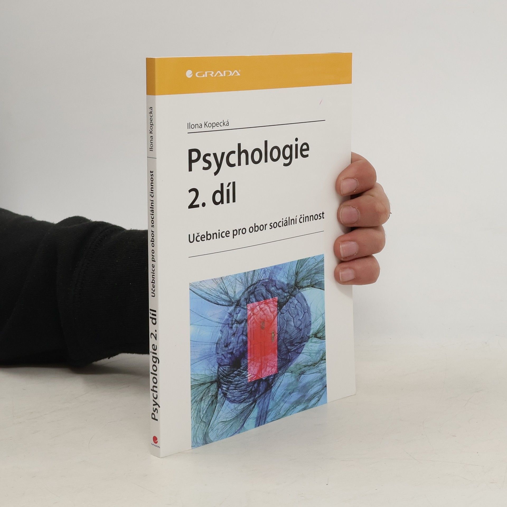 Ilona Kopecká Psychologie : učebnice pro obor sociální činnost. 2. díl