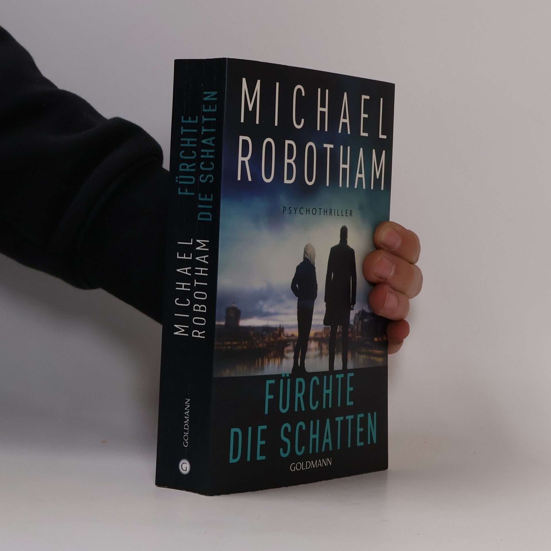 Michael Robotham Fürchte die Schatten